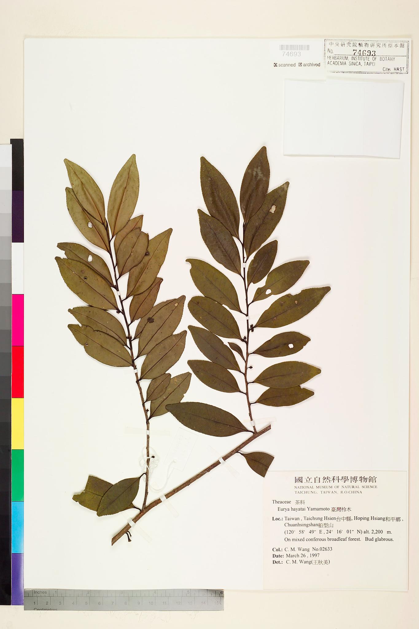 Sample image for viewer