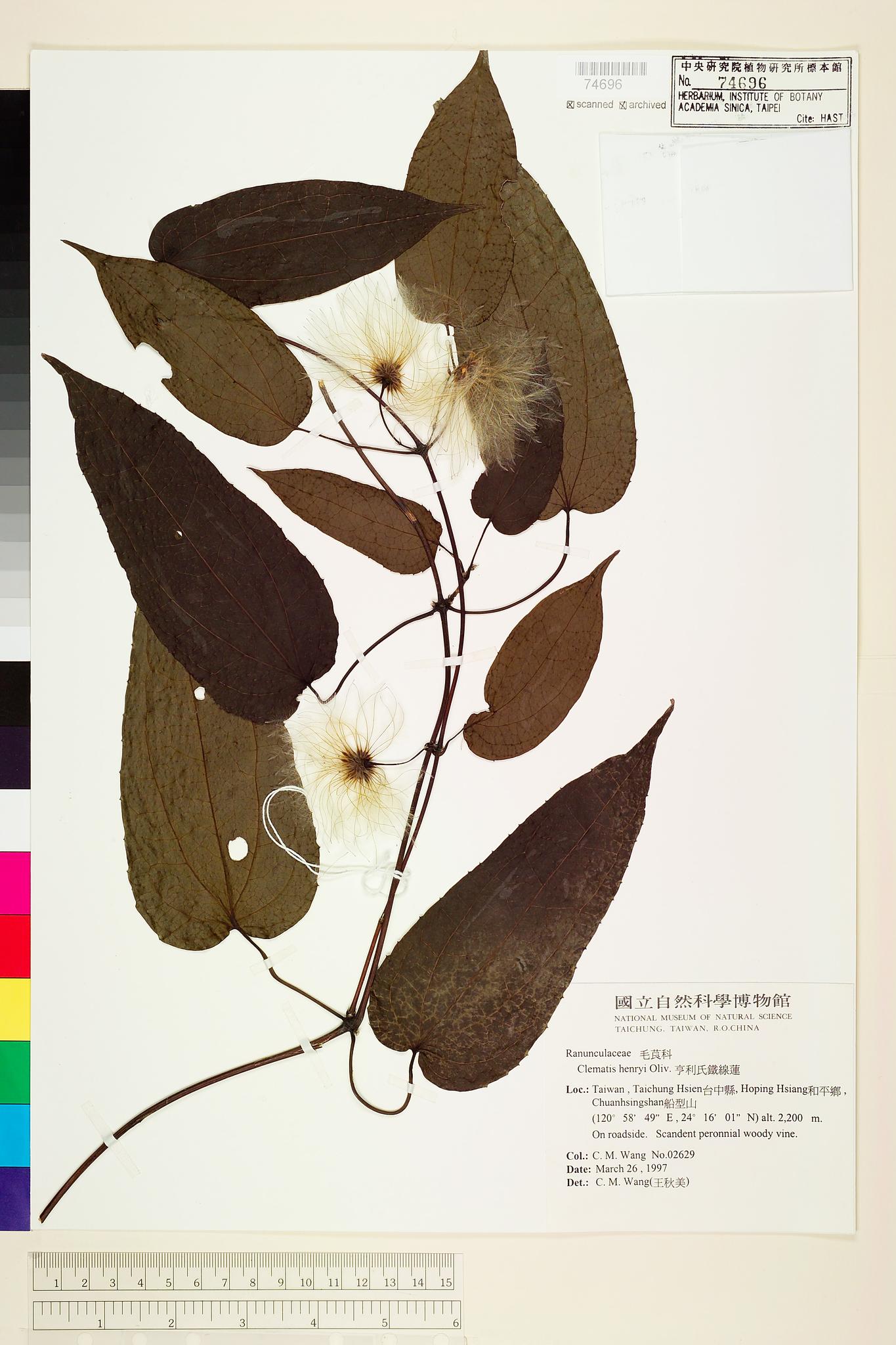 Sample image for viewer