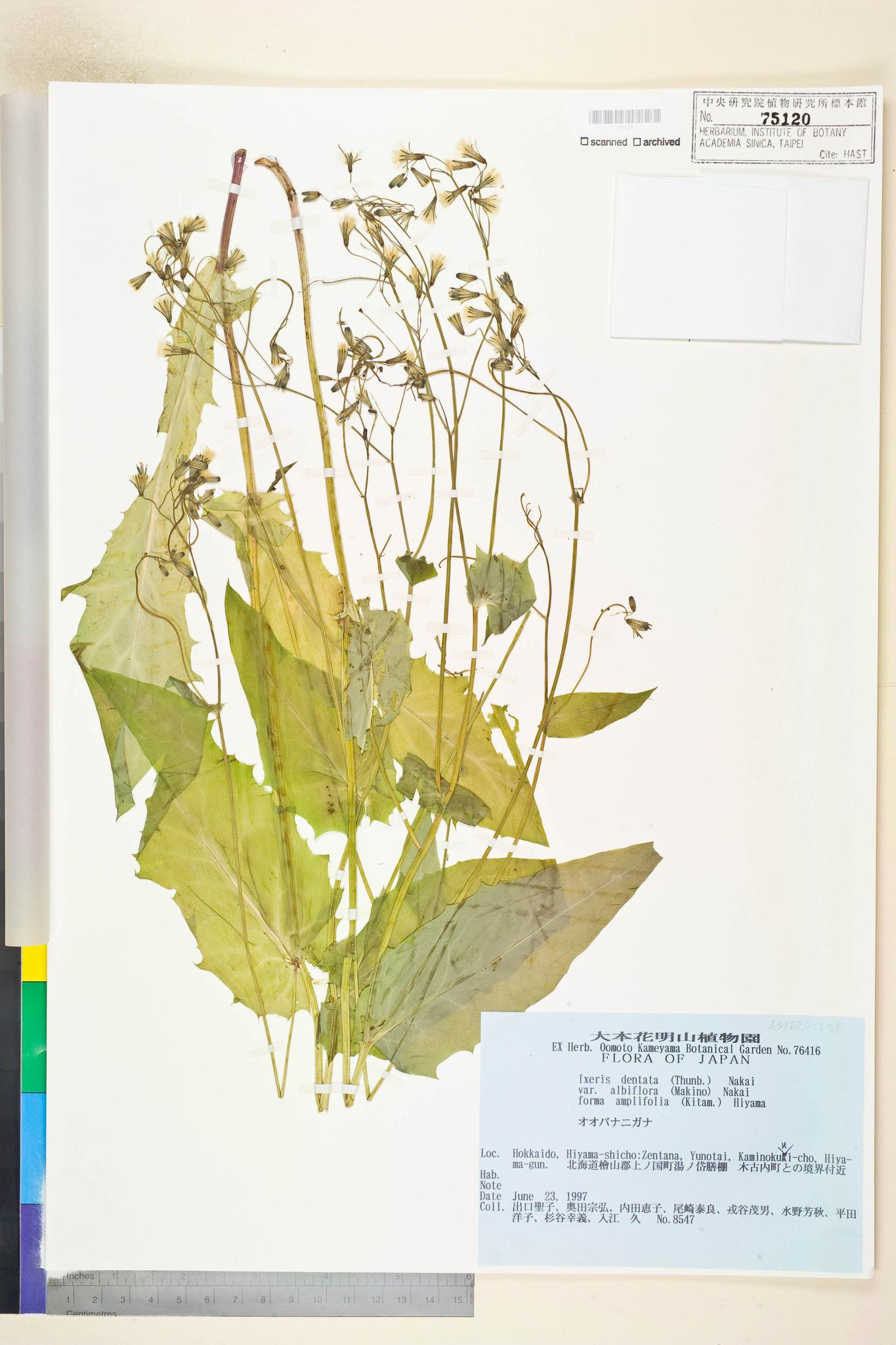 Specimen image
