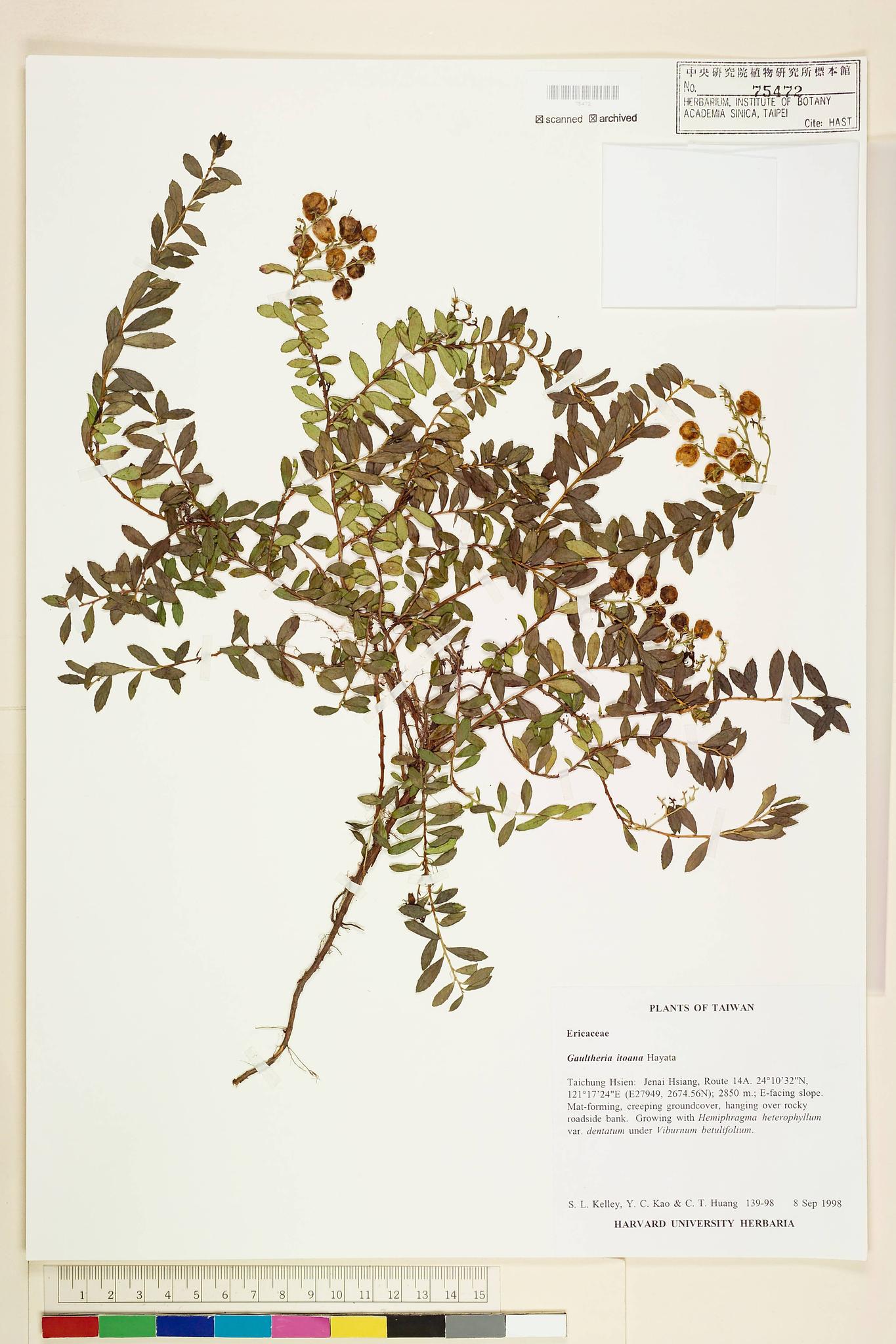 Sample image for viewer