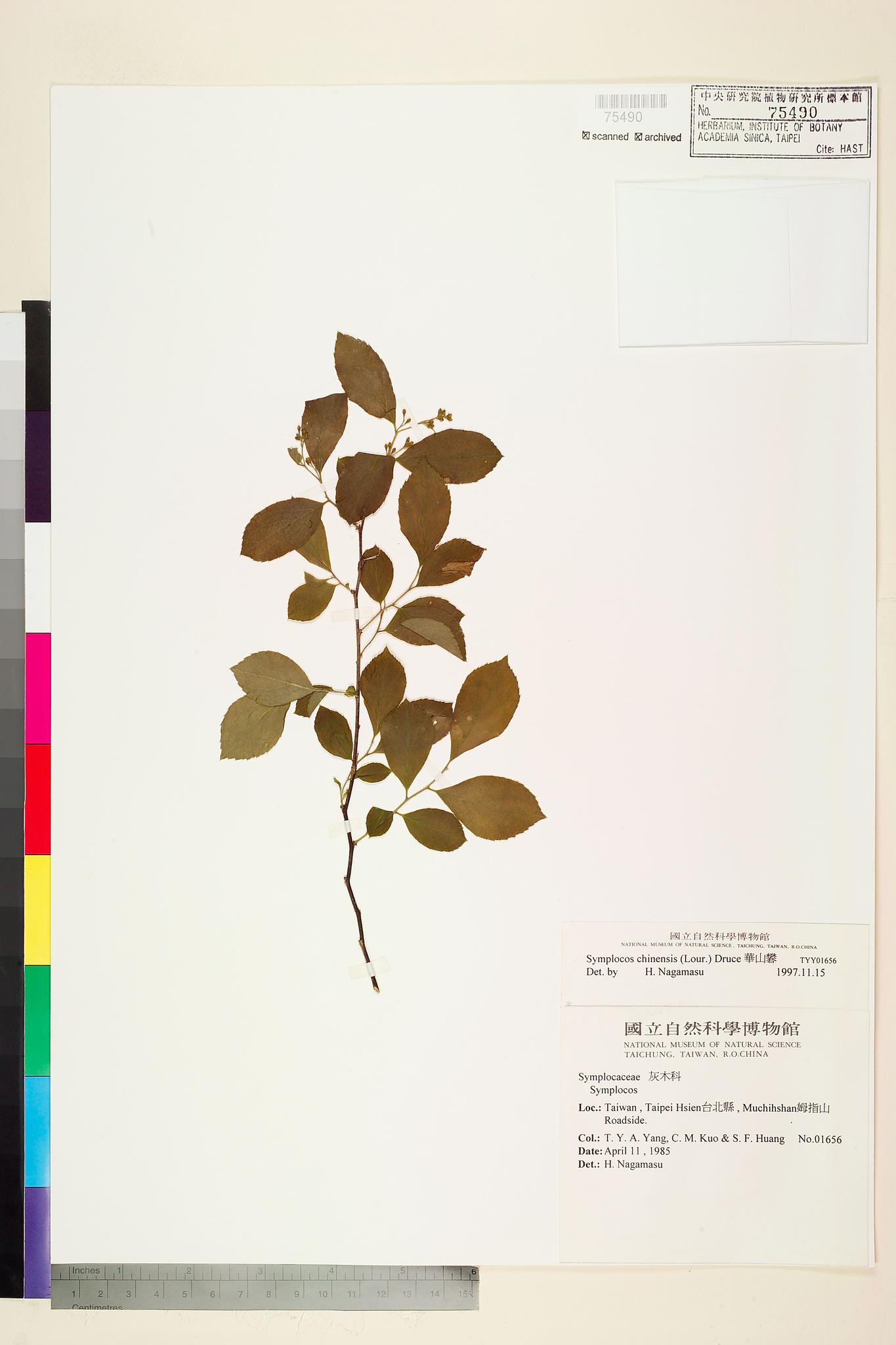 Sample image for viewer