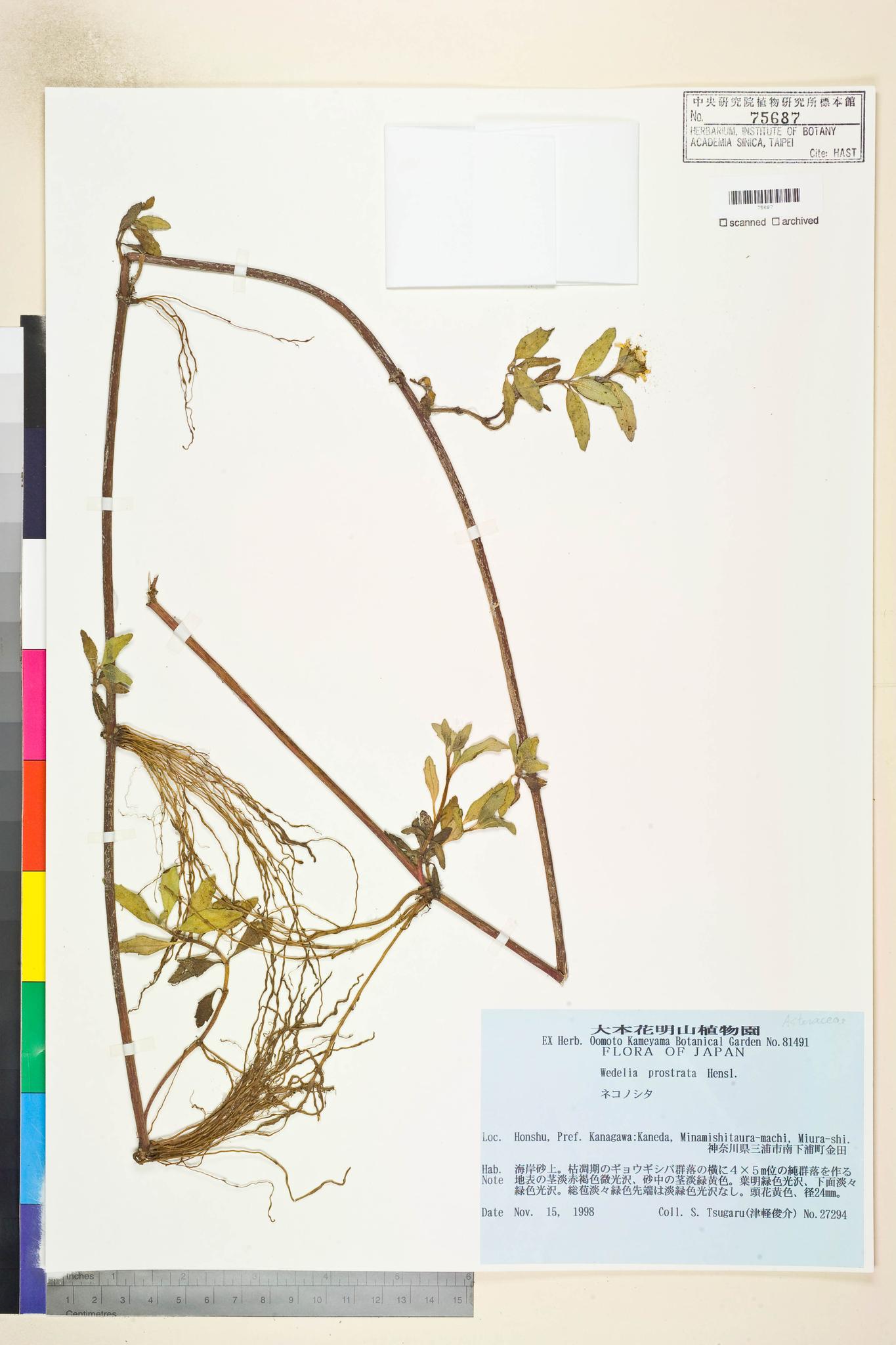 Specimen image