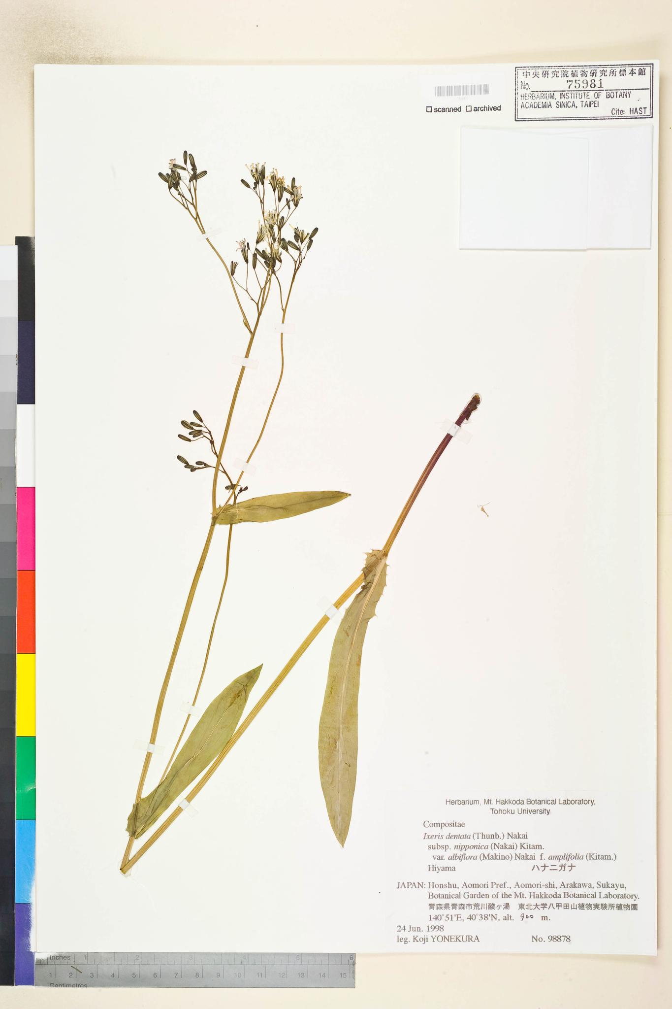Specimen image