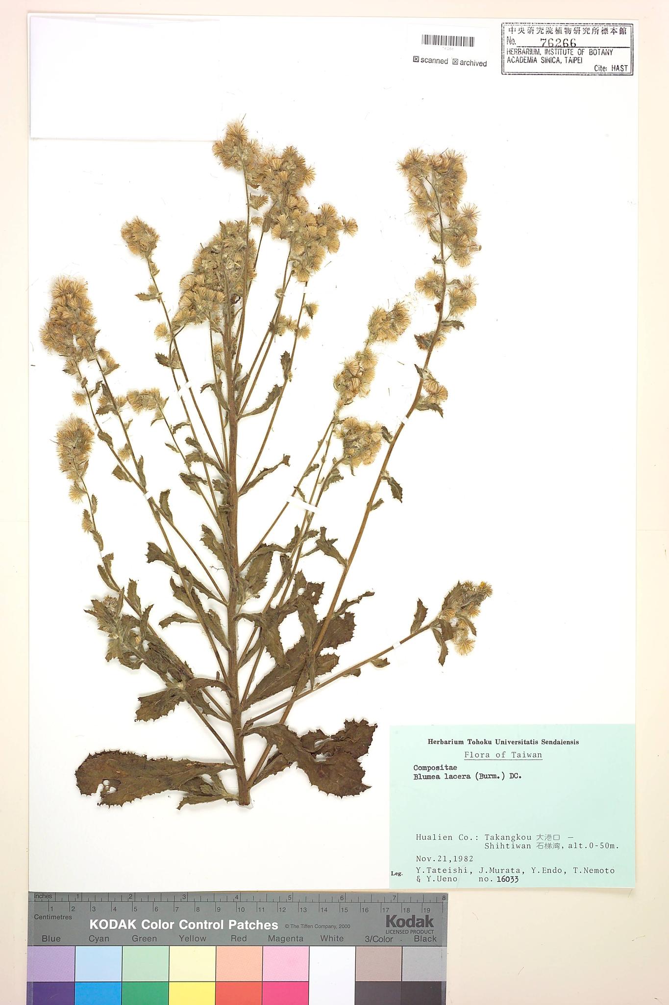 Specimen image