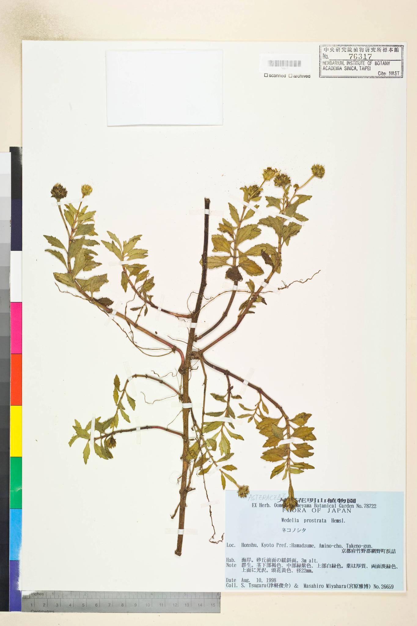 Specimen image
