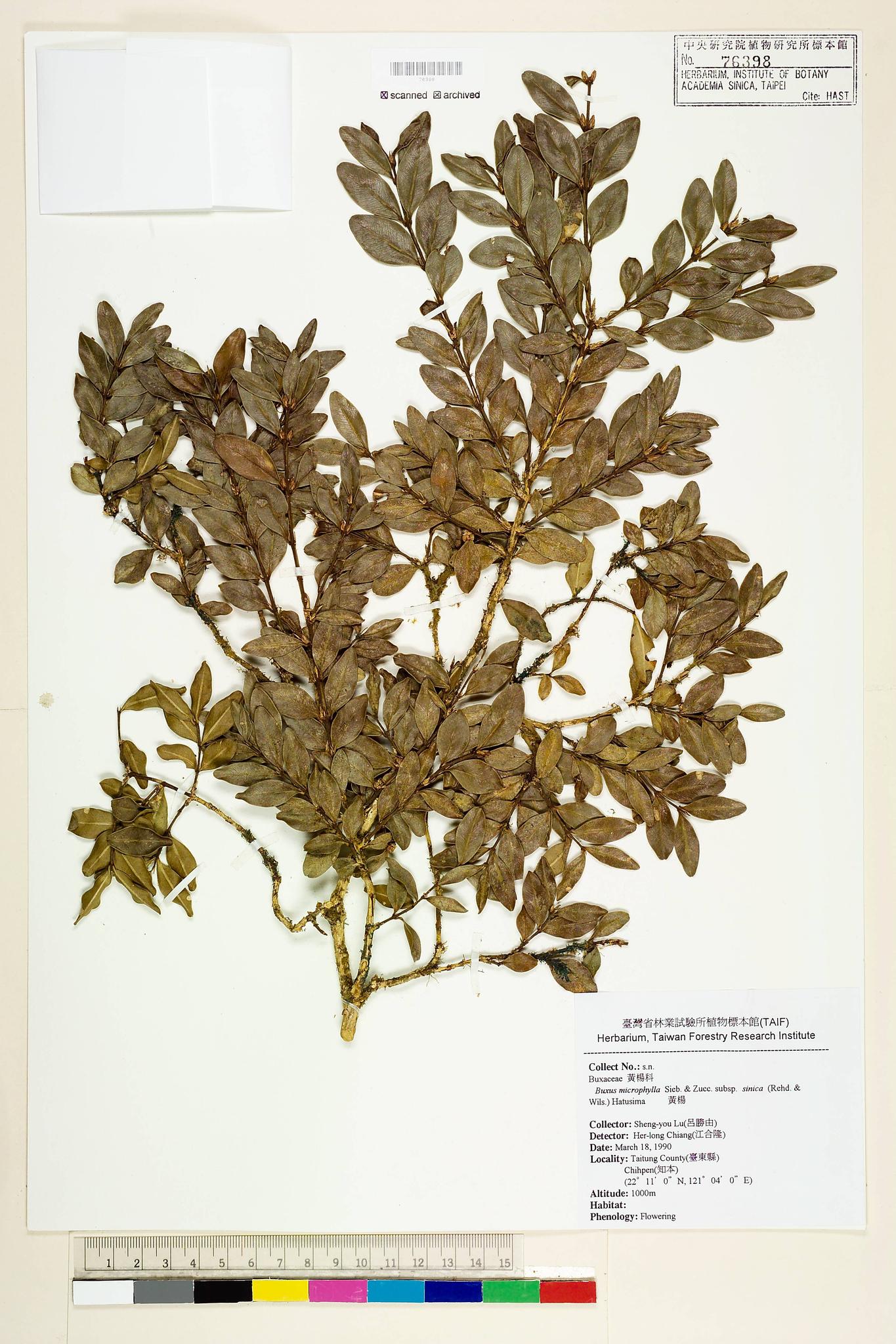 Specimen image