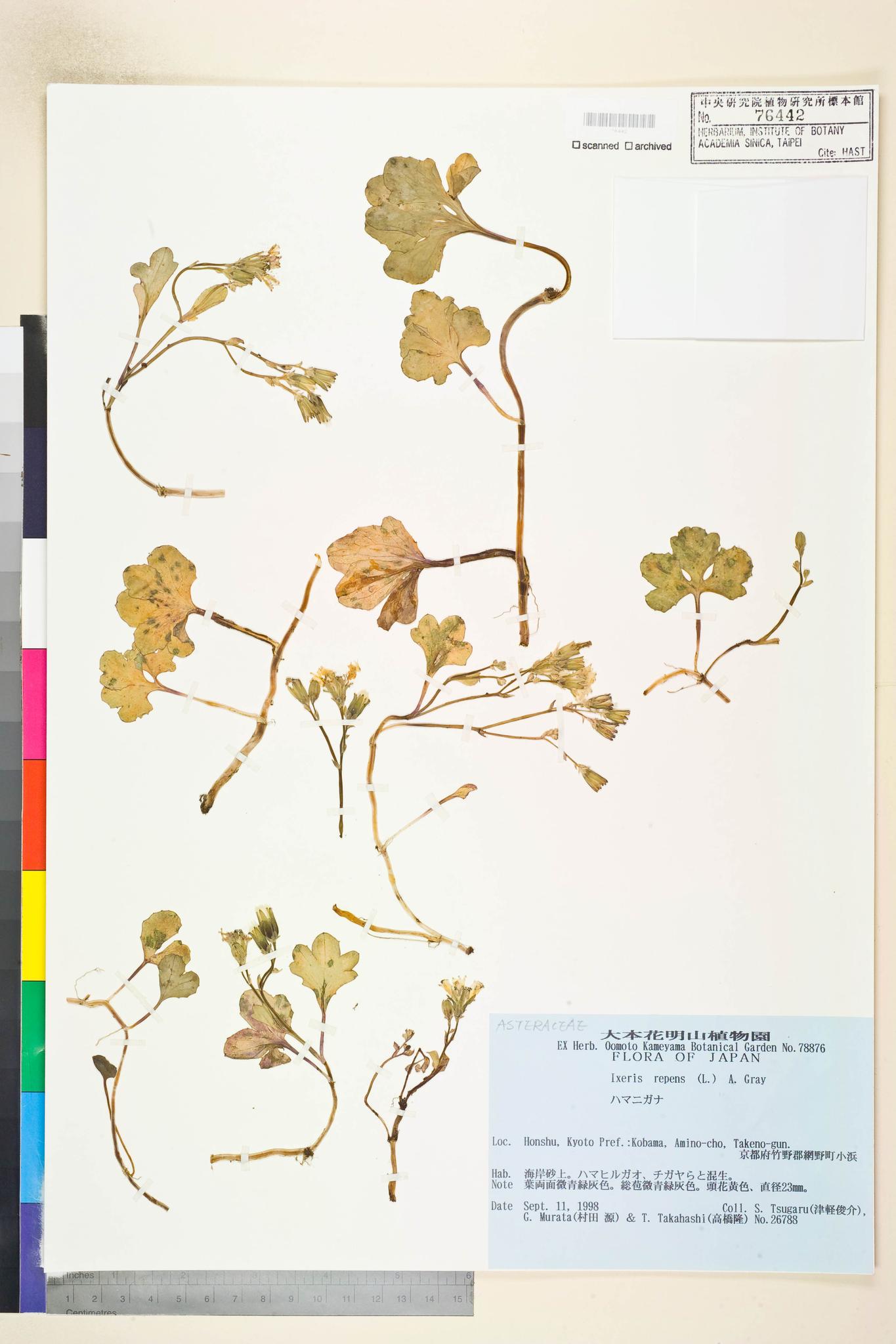 Specimen image