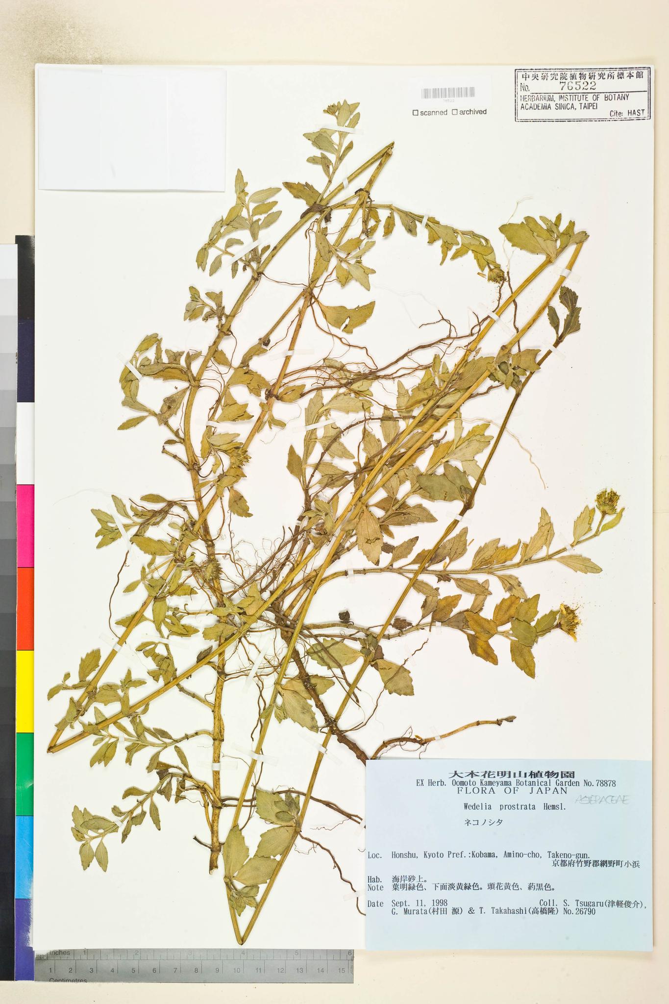 Specimen image