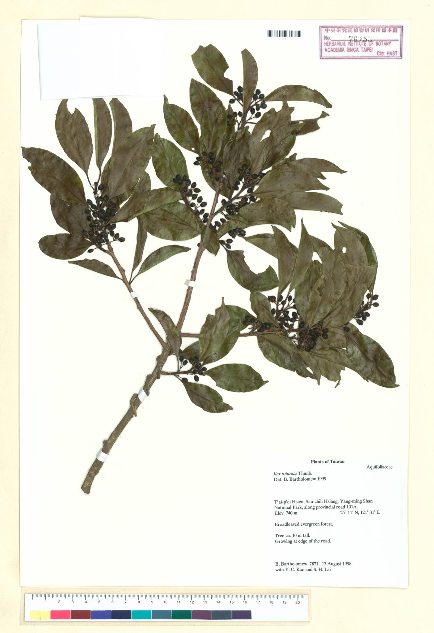 Sample image for viewer