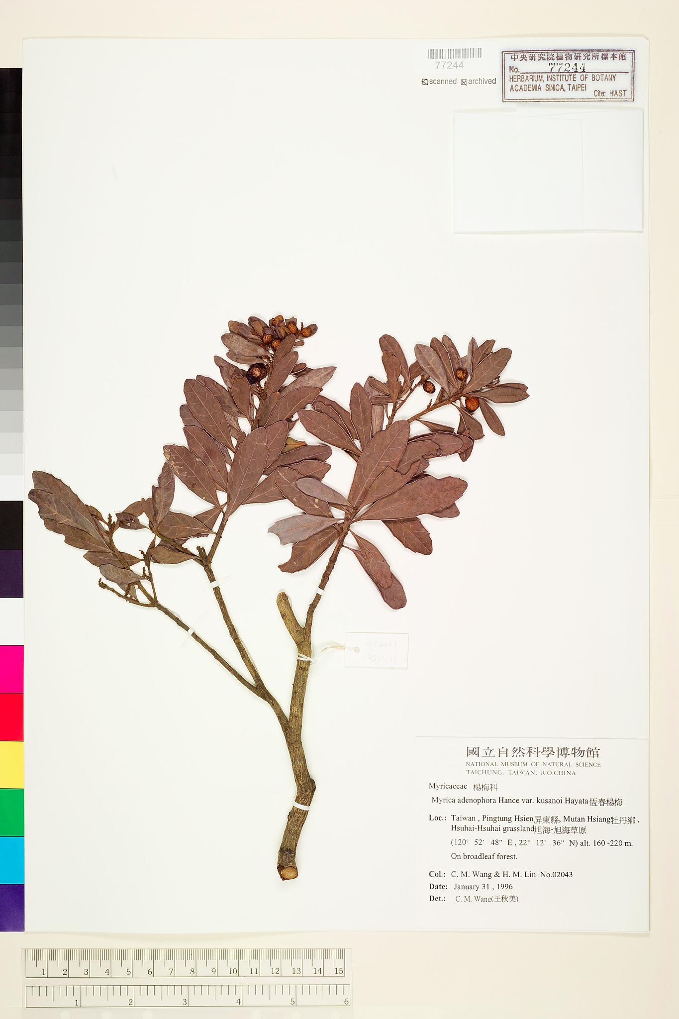 Sample image for viewer