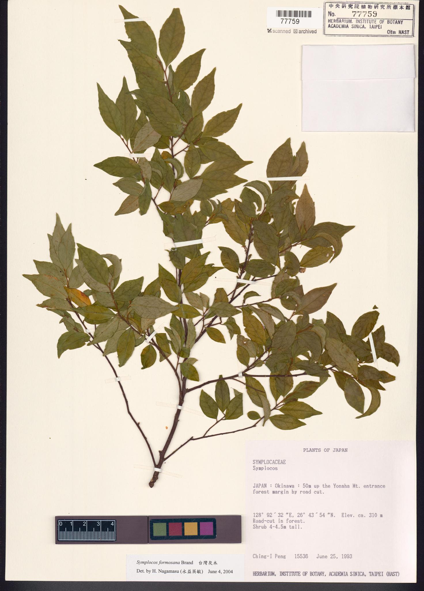 Sample image for viewer