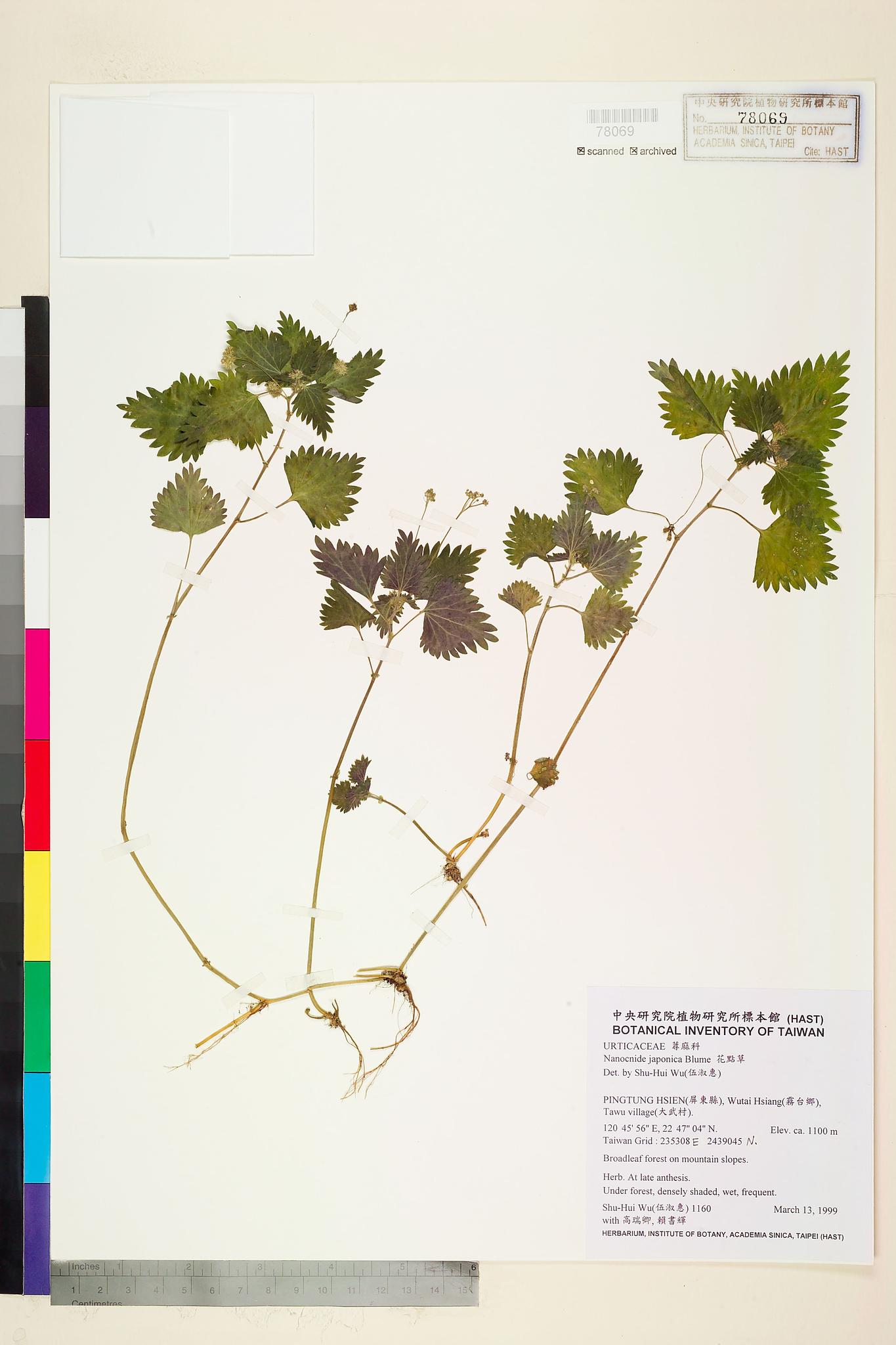 Sample image for viewer