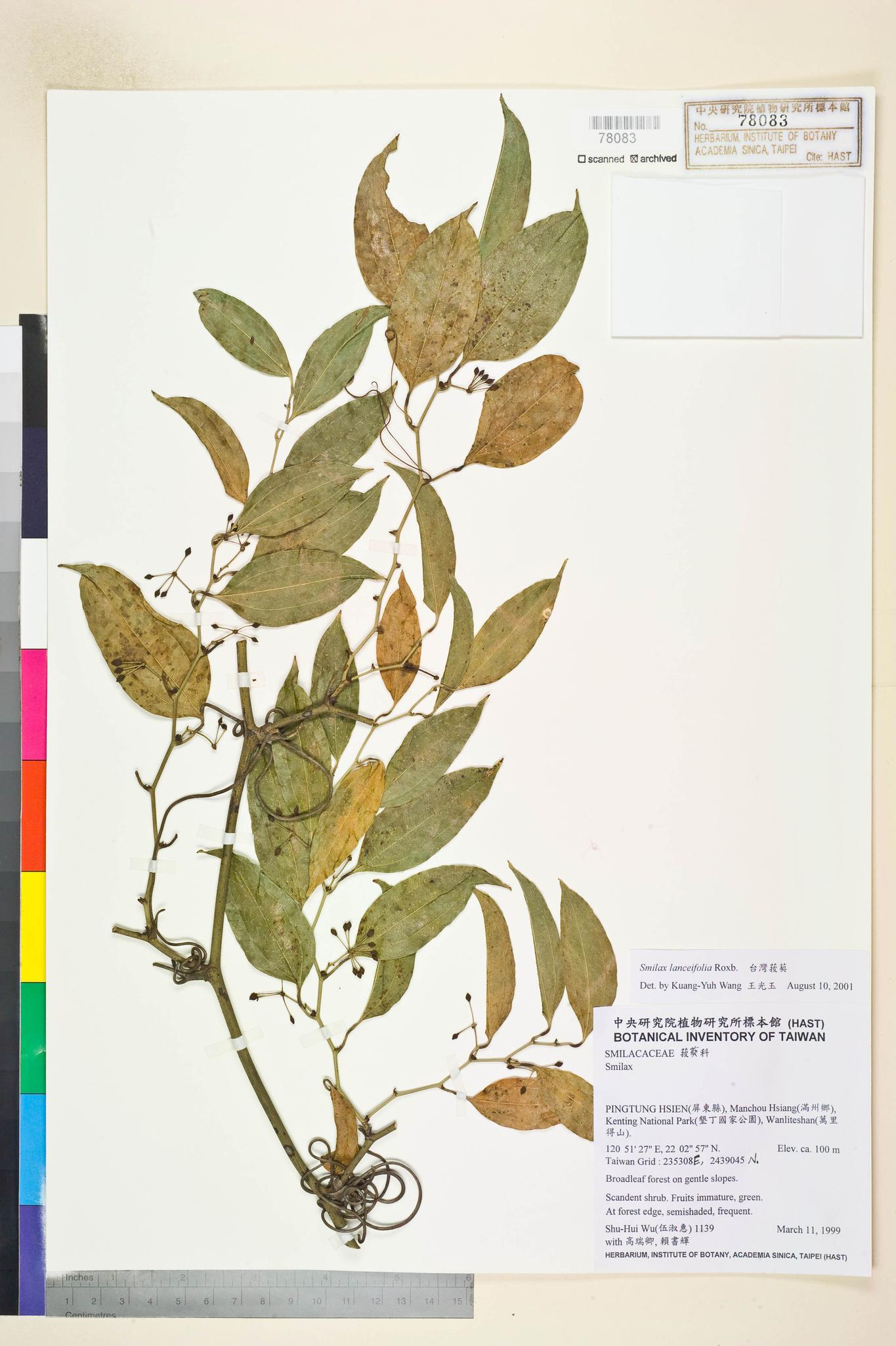 Sample image for viewer