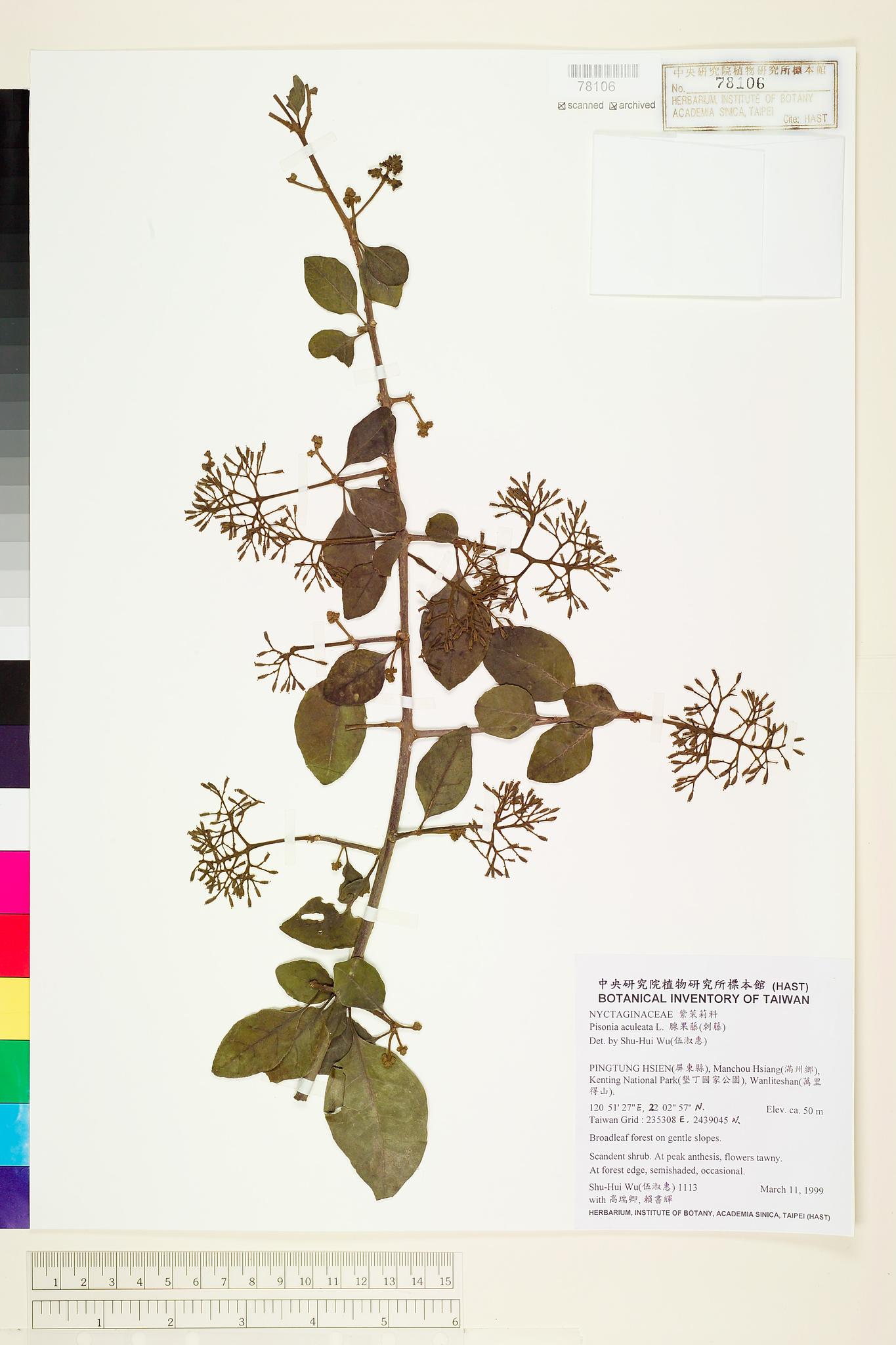 Sample image for viewer