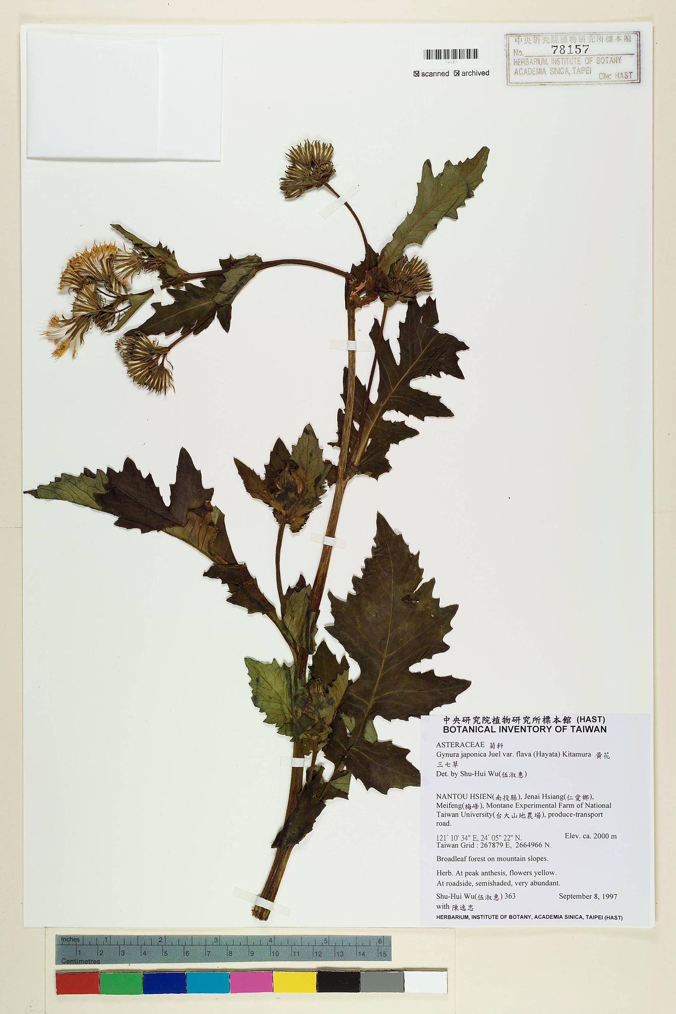 Sample image for viewer