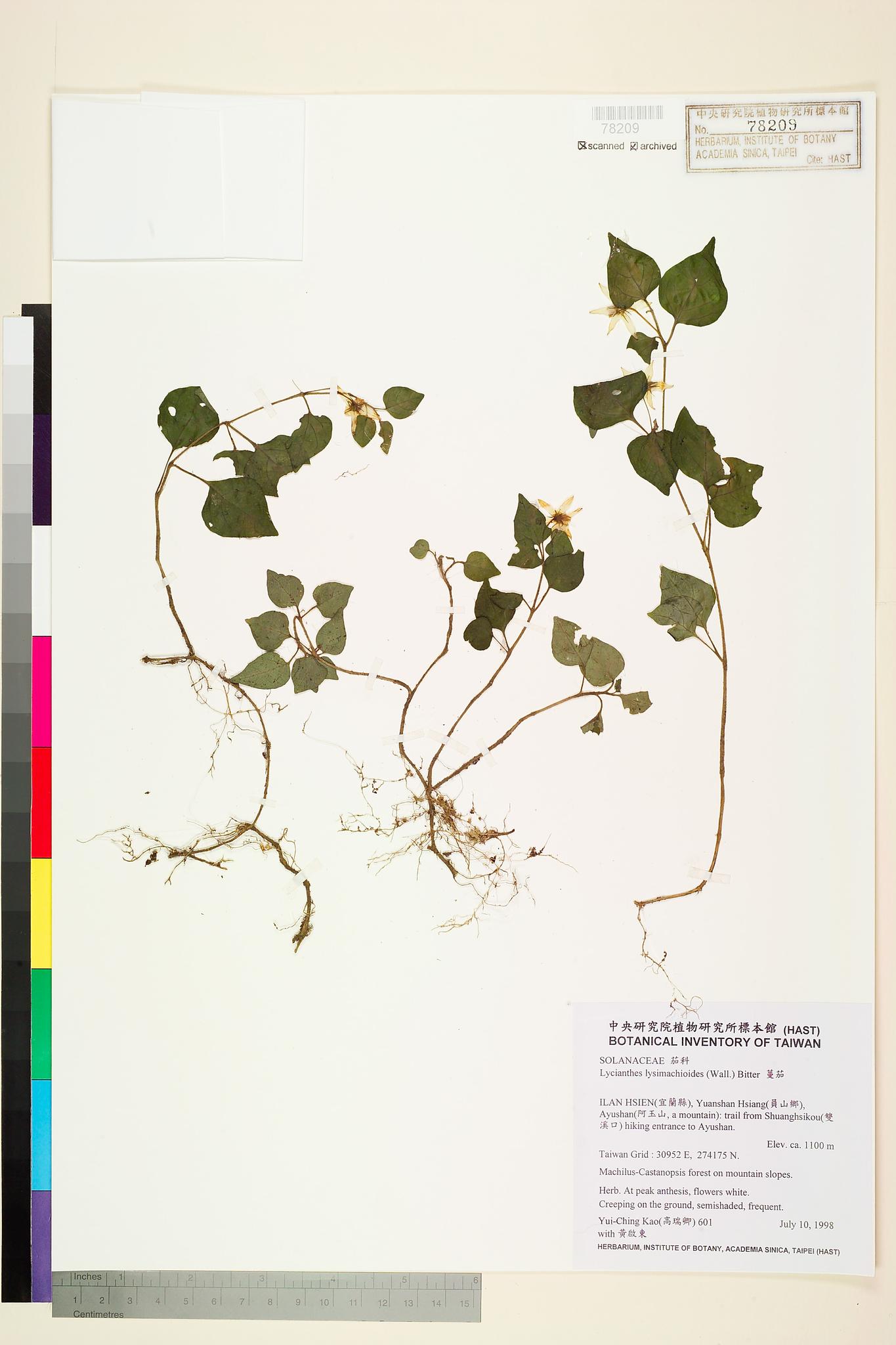 Sample image for viewer