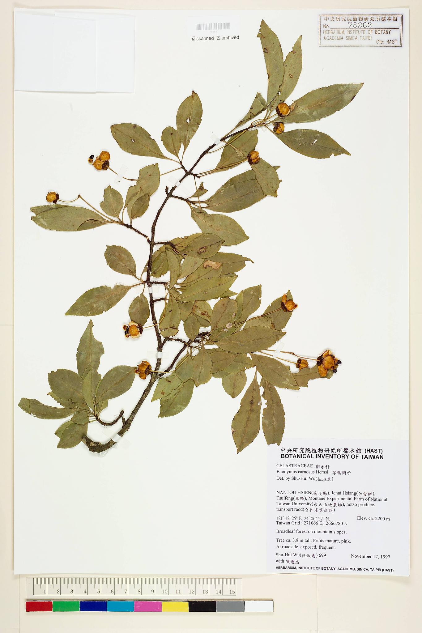 Sample image for viewer