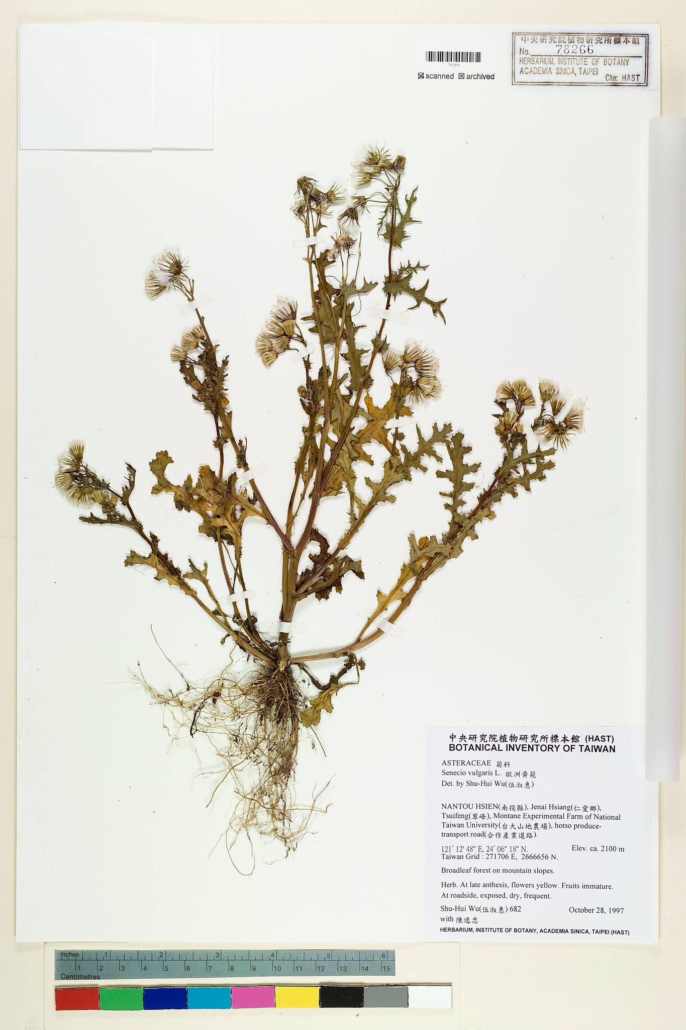 Sample image for viewer