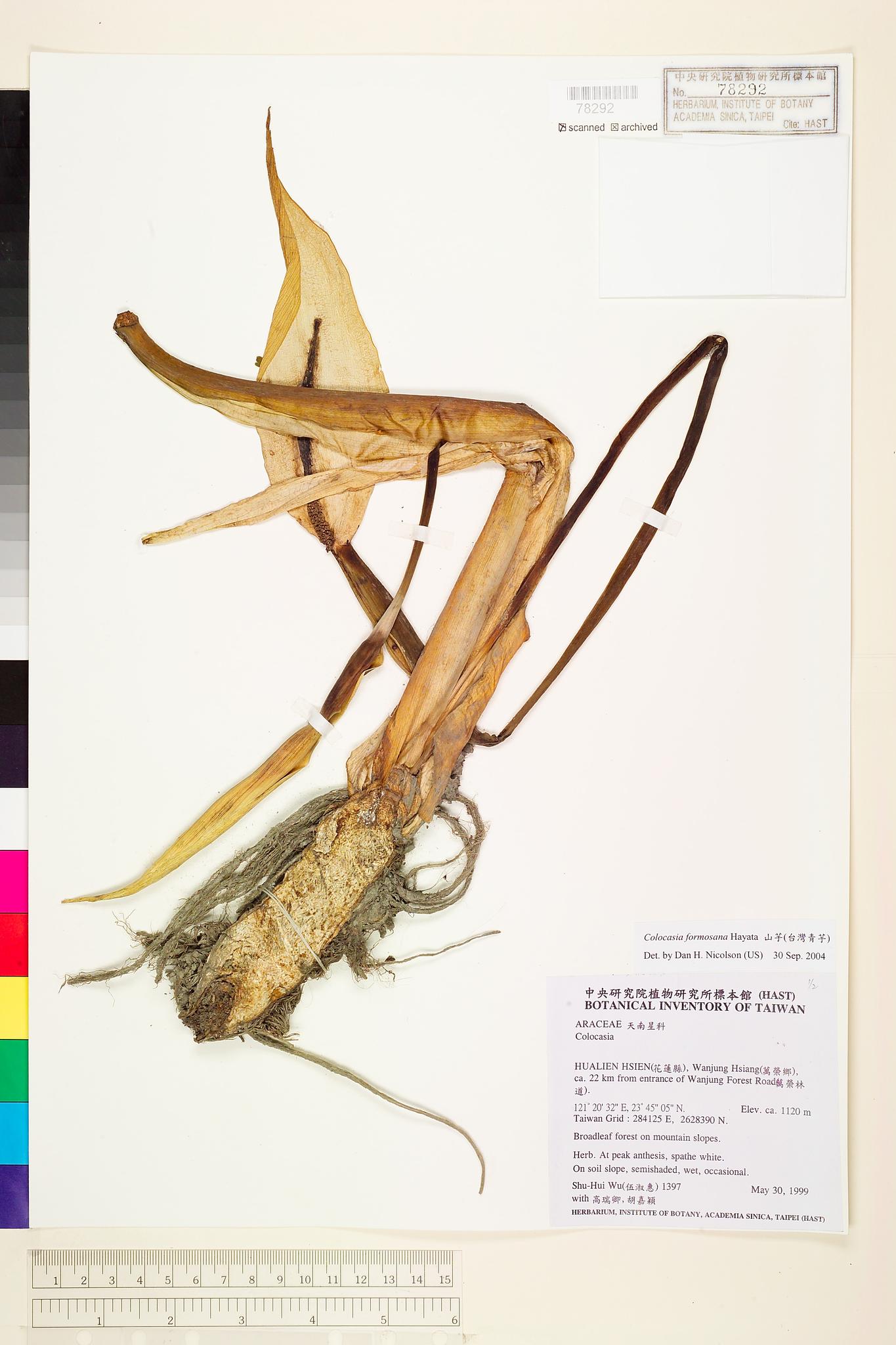 Sample image for viewer