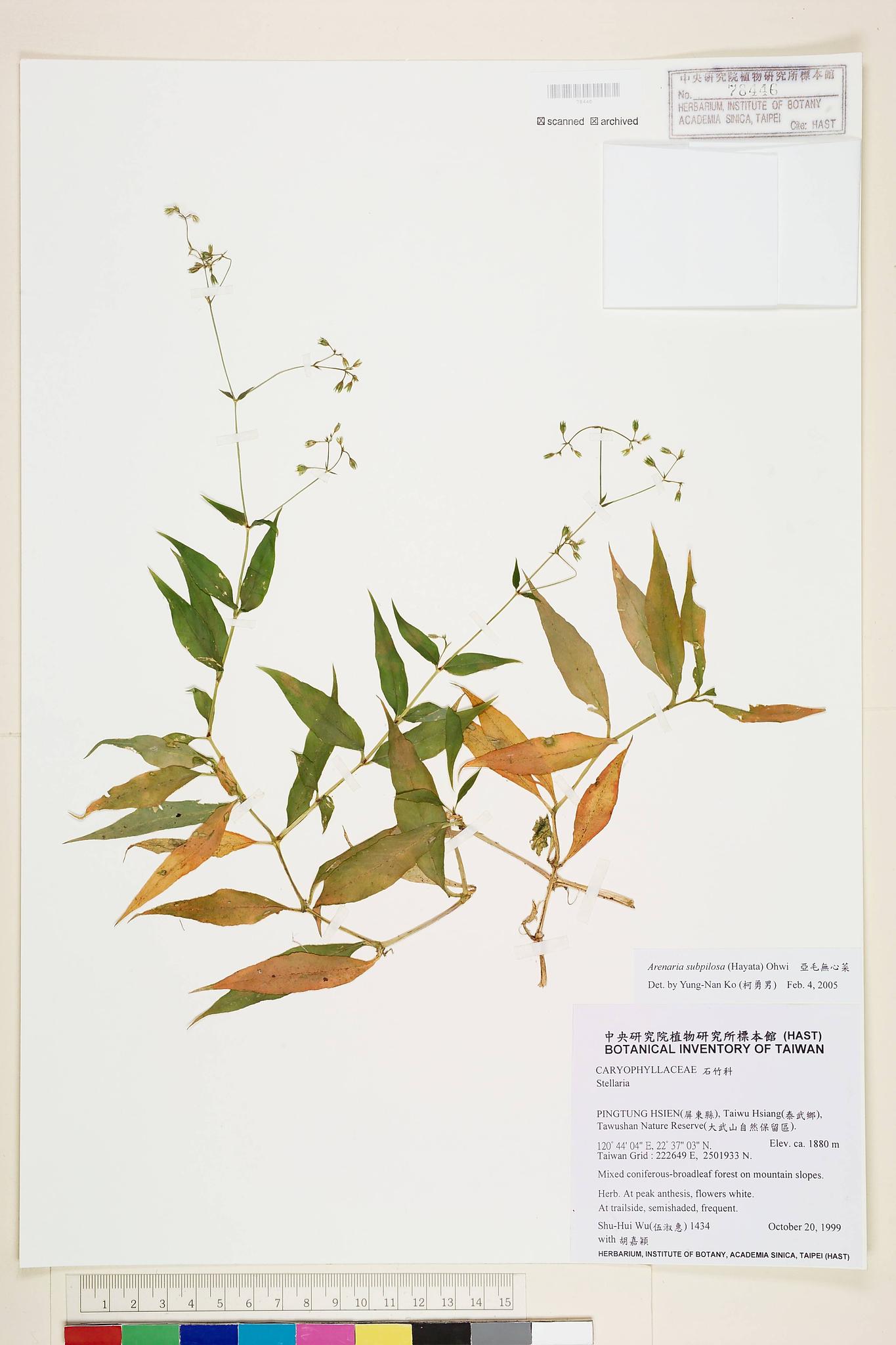 Sample image for viewer