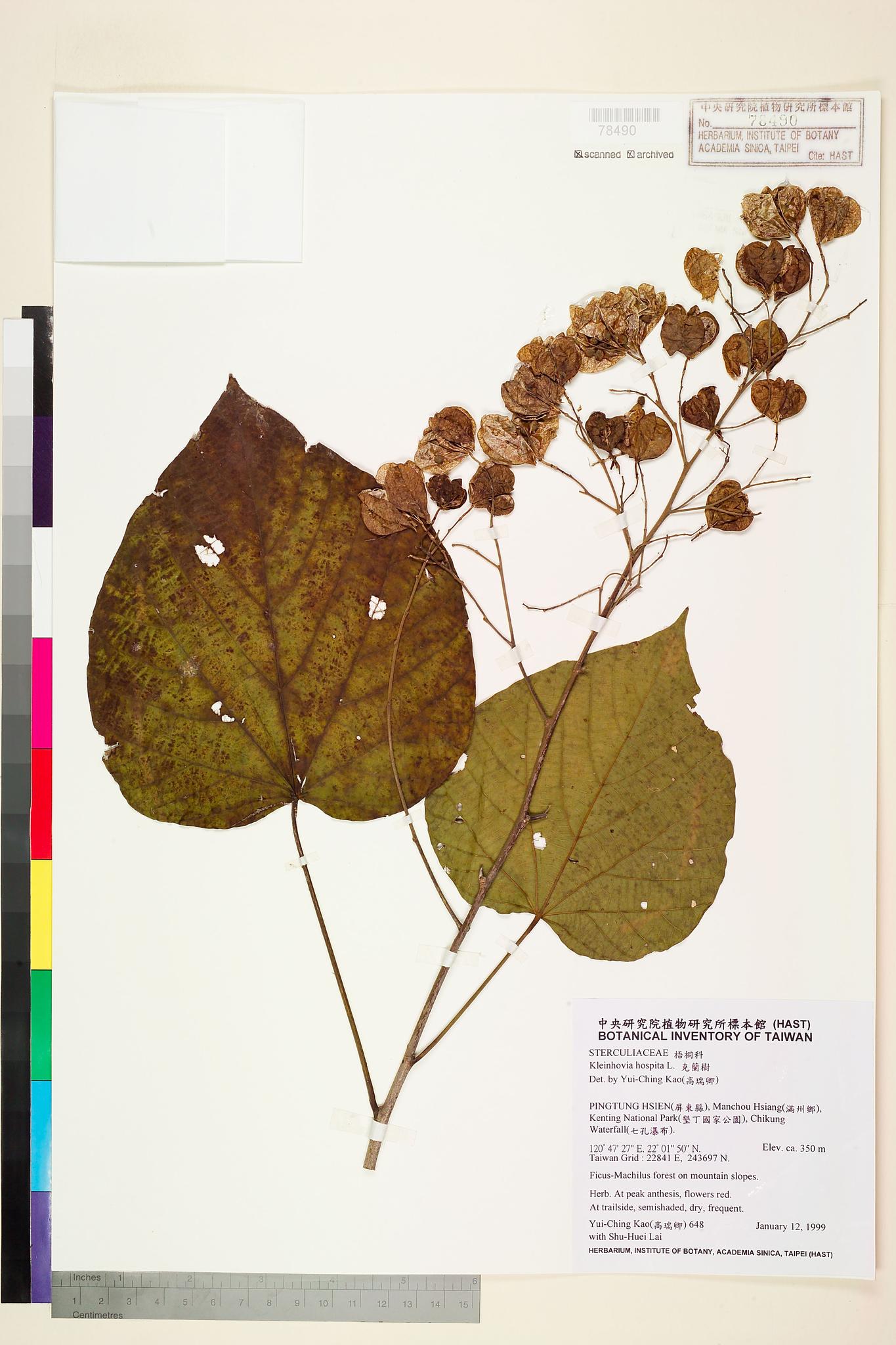 Sample image for viewer