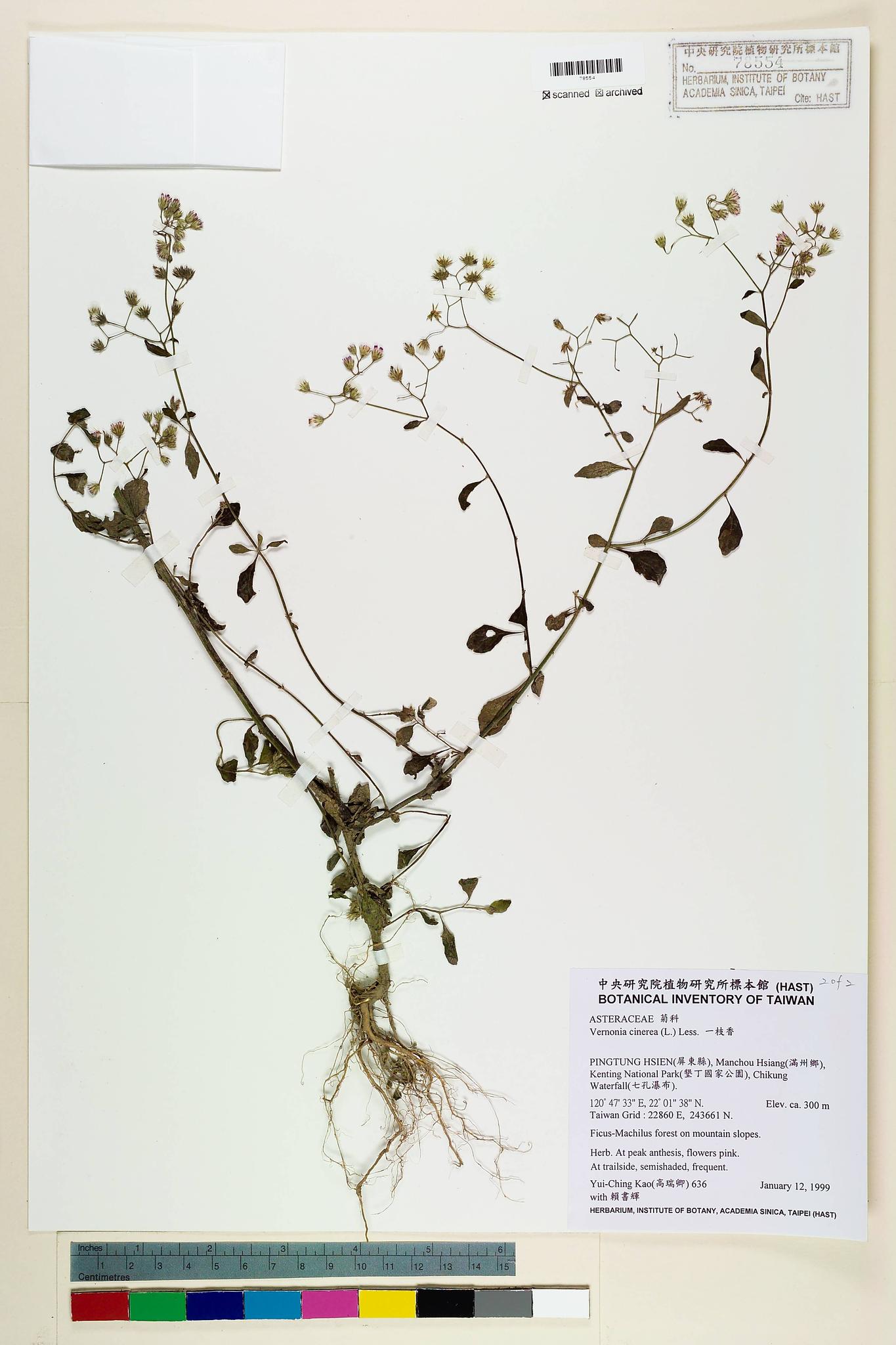 Sample image for viewer