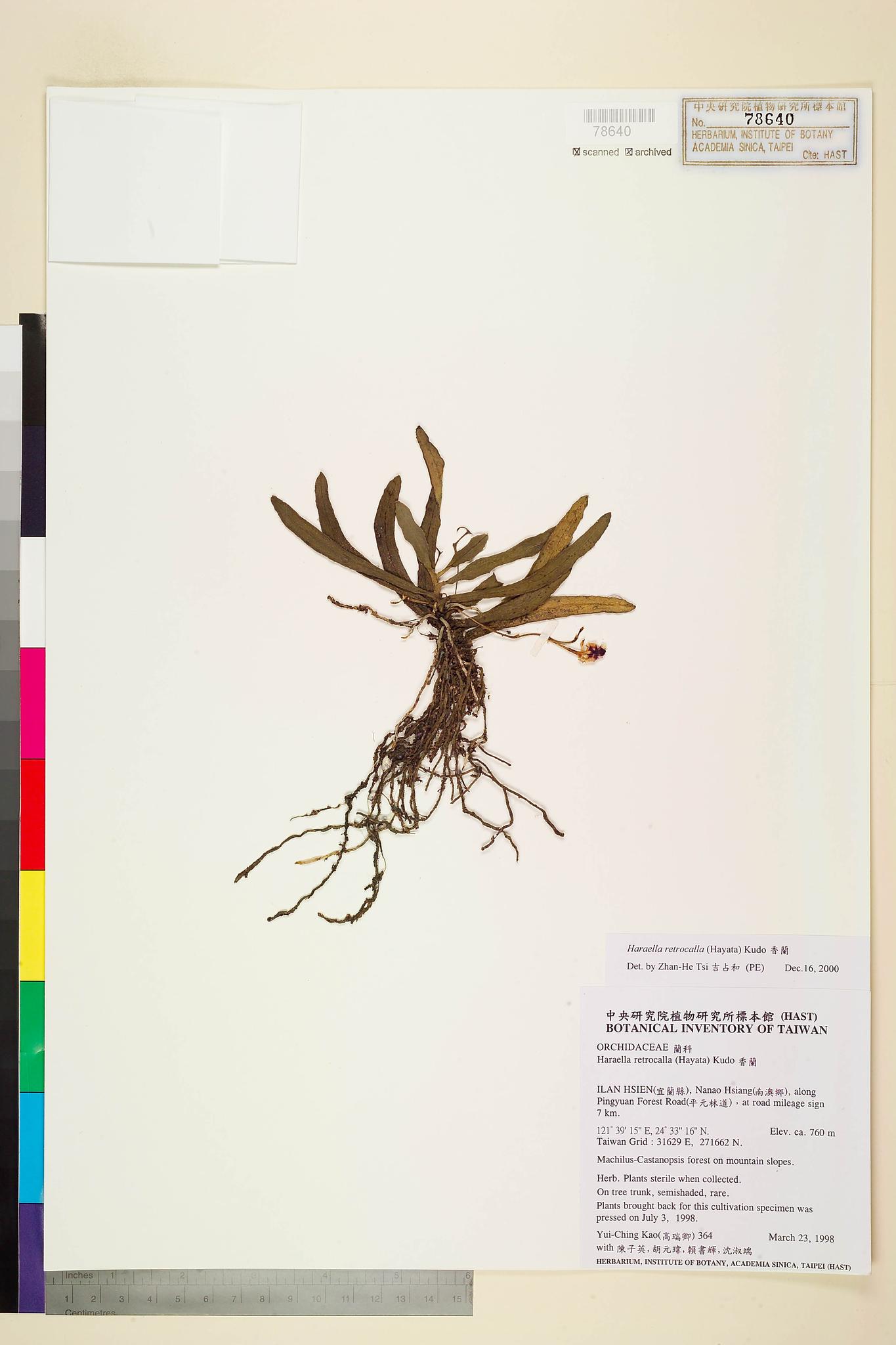 Sample image for viewer