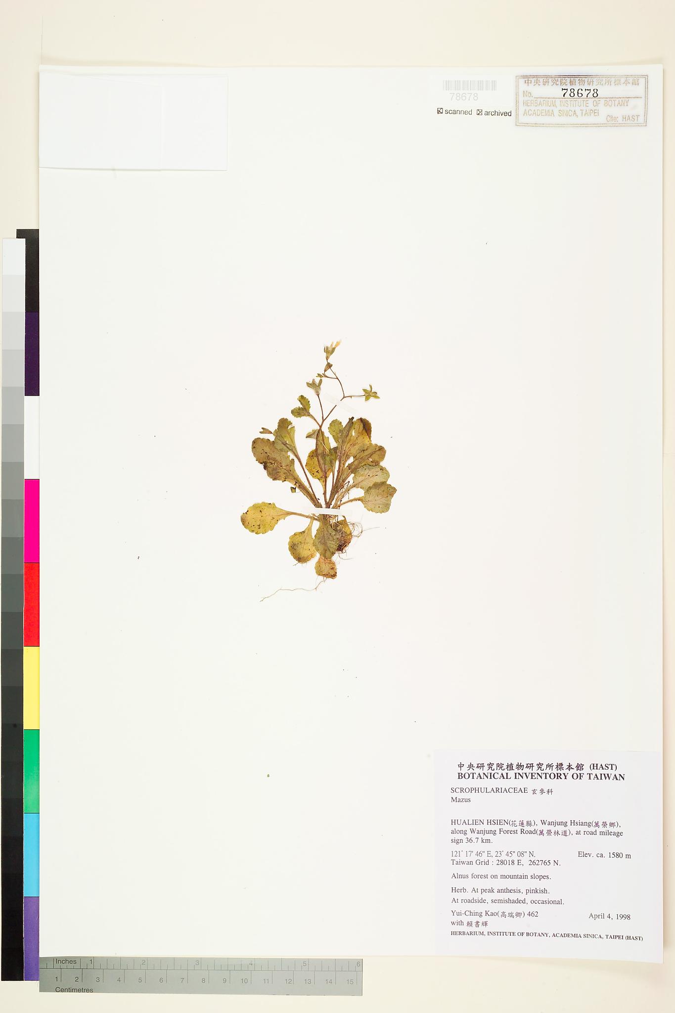 Sample image for viewer