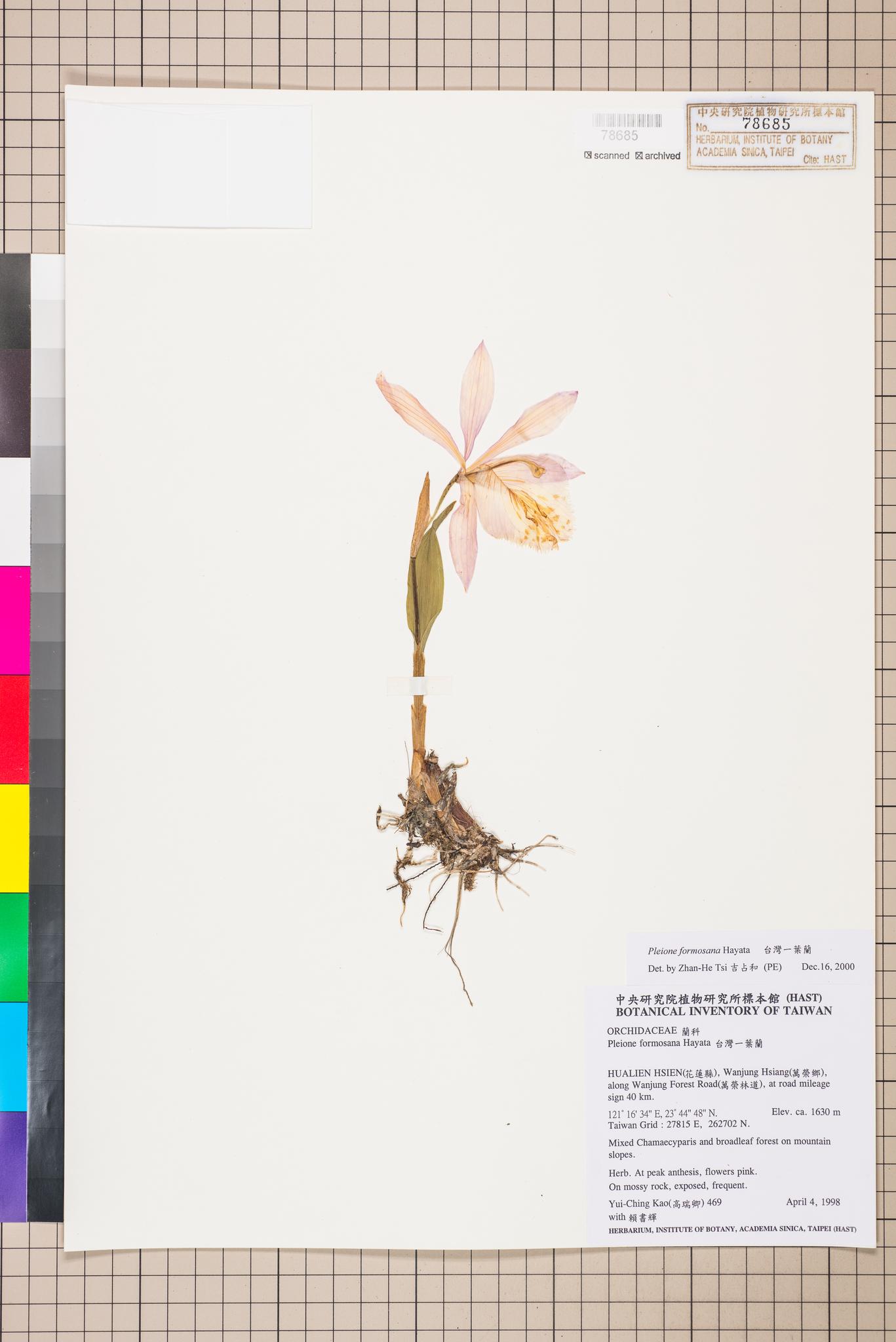 Sample image for viewer