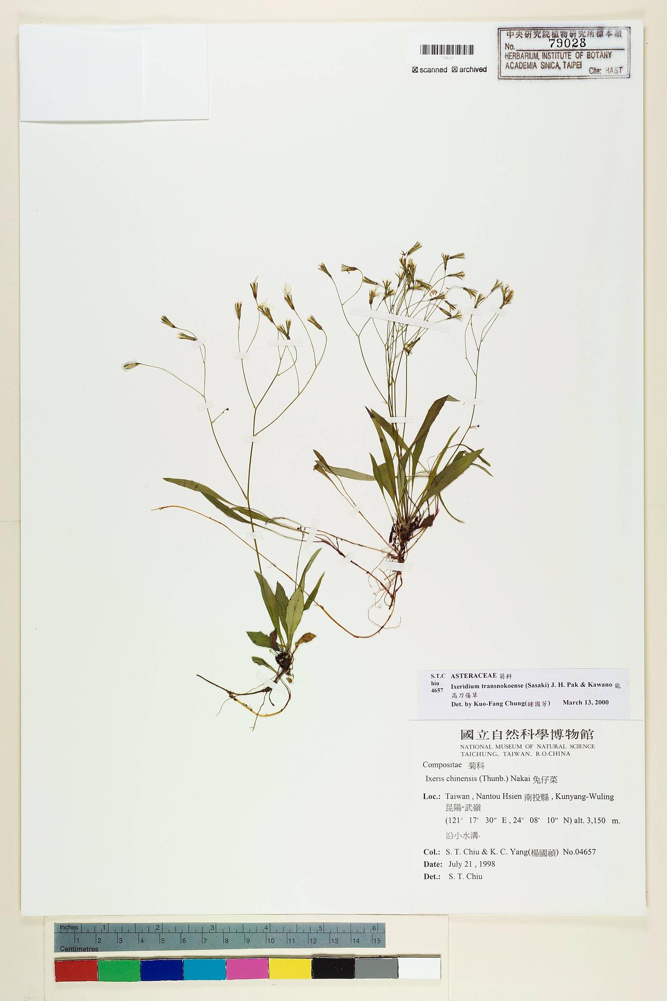 Sample image for viewer