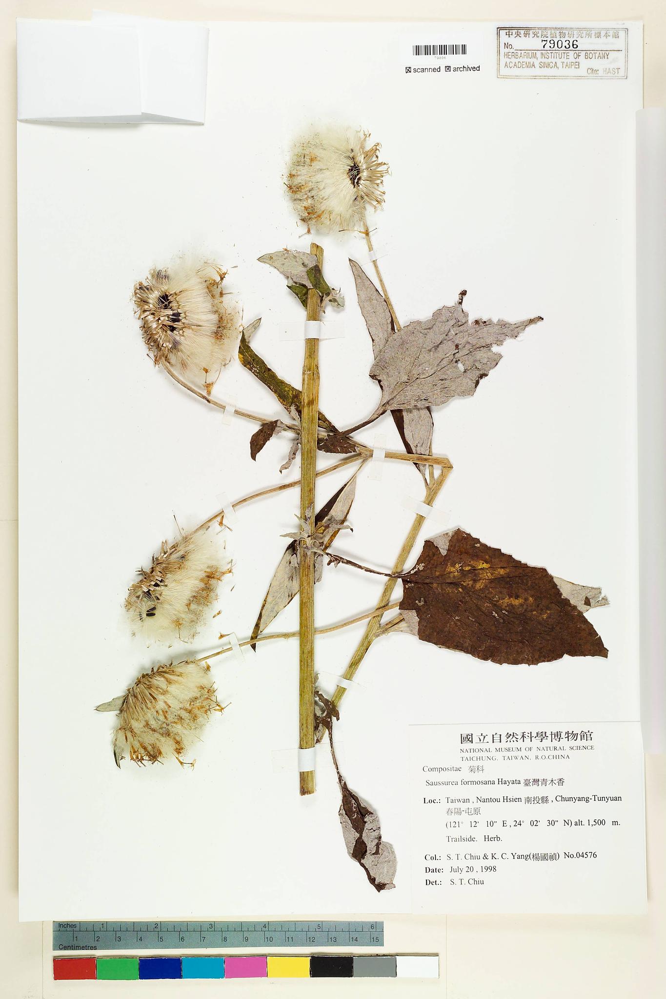 Sample image for viewer