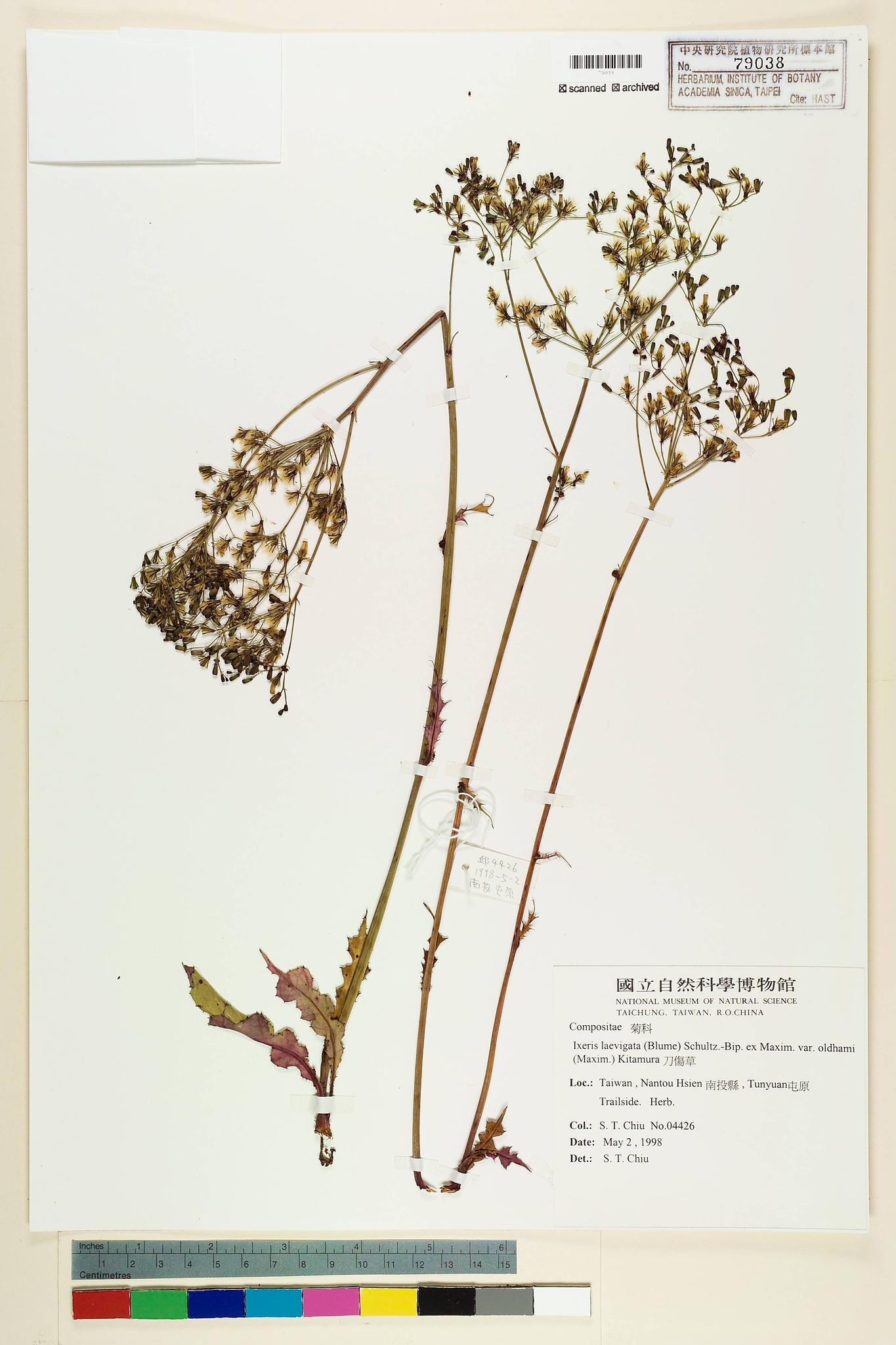 Specimen image