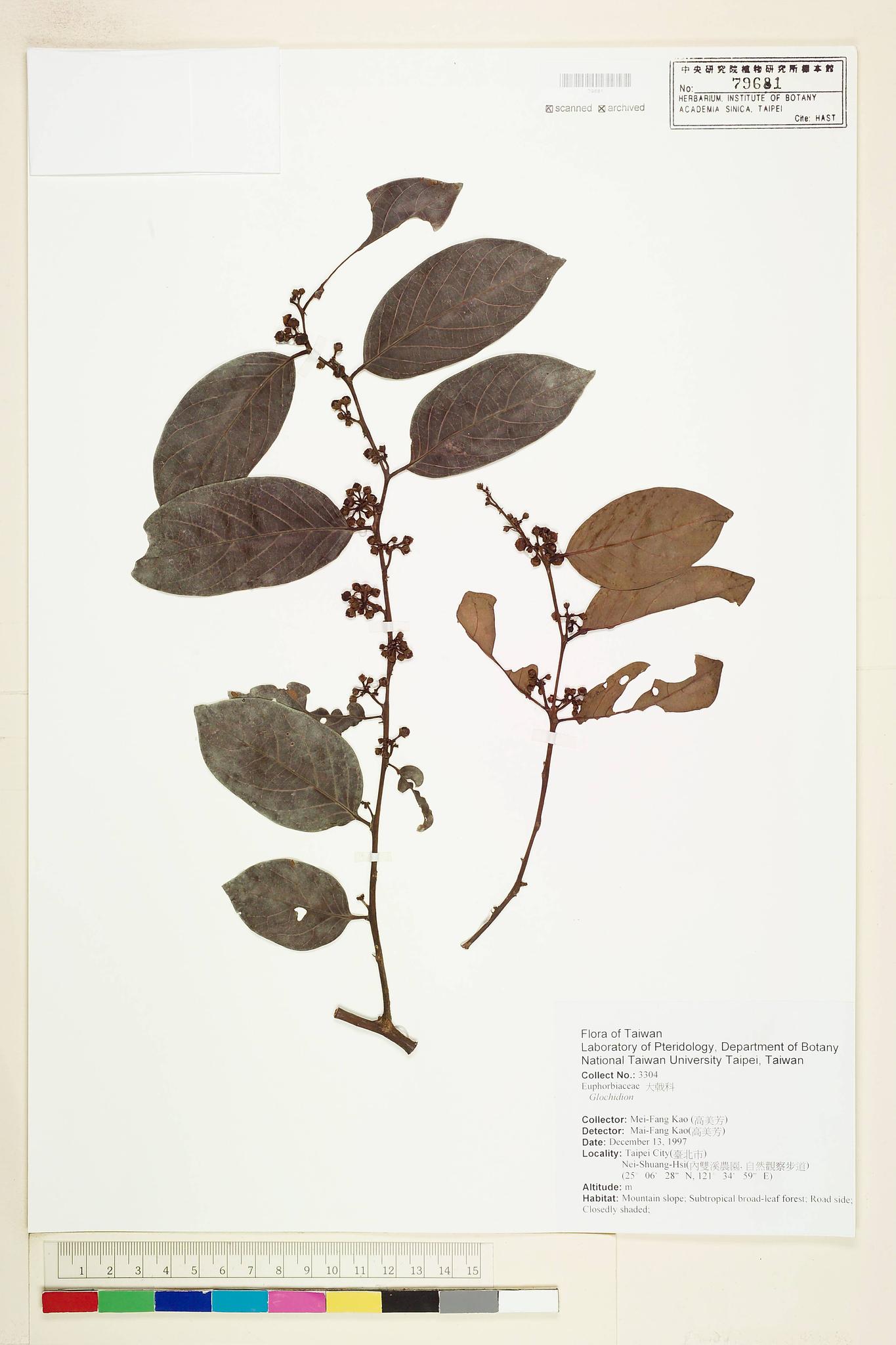 Sample image for viewer