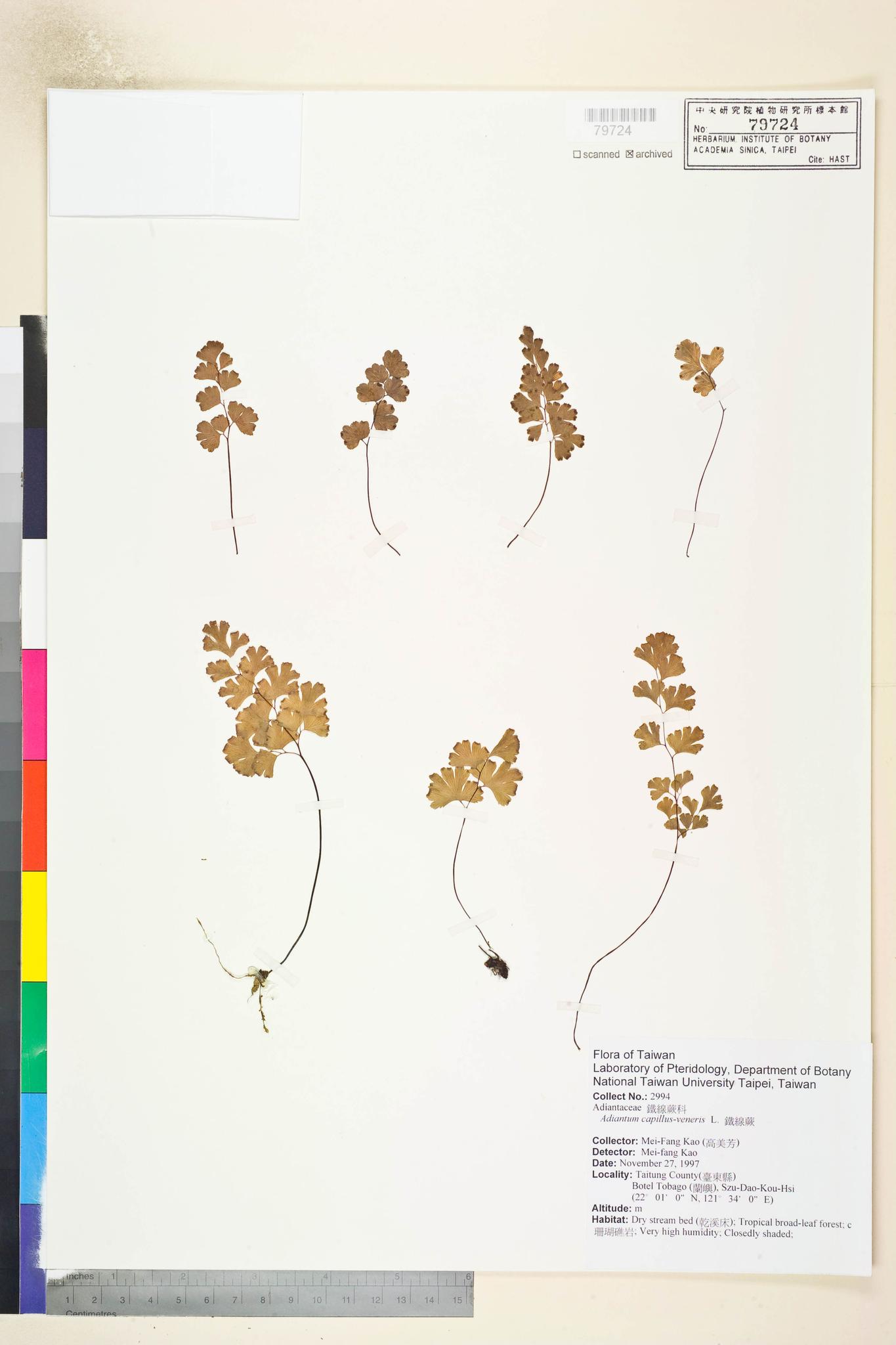 Sample image for viewer