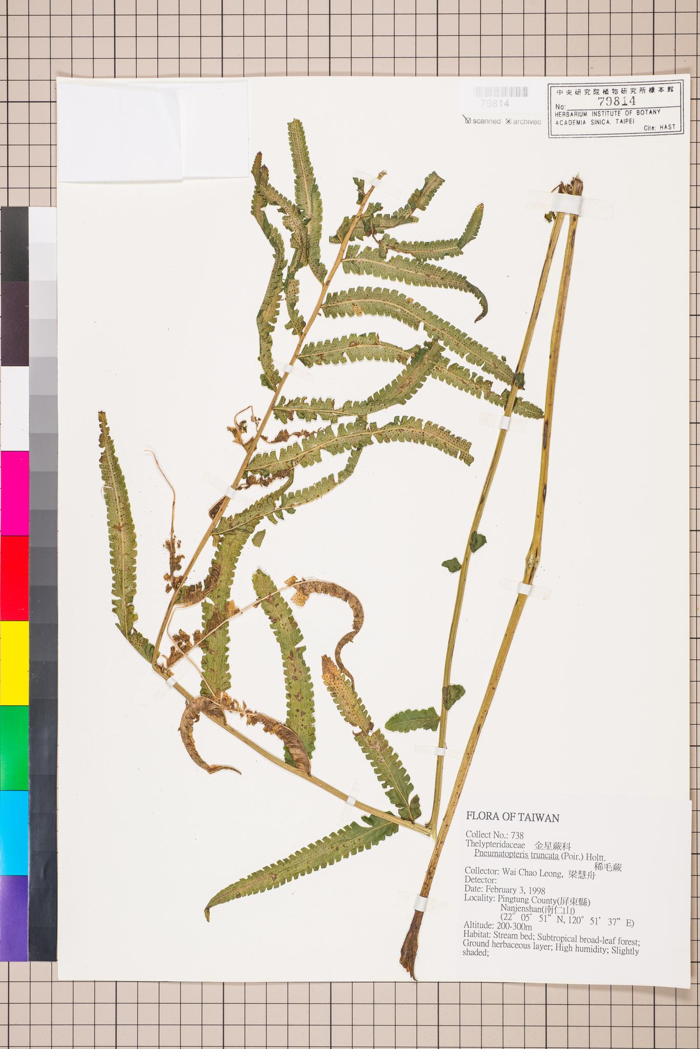 Sample image for viewer