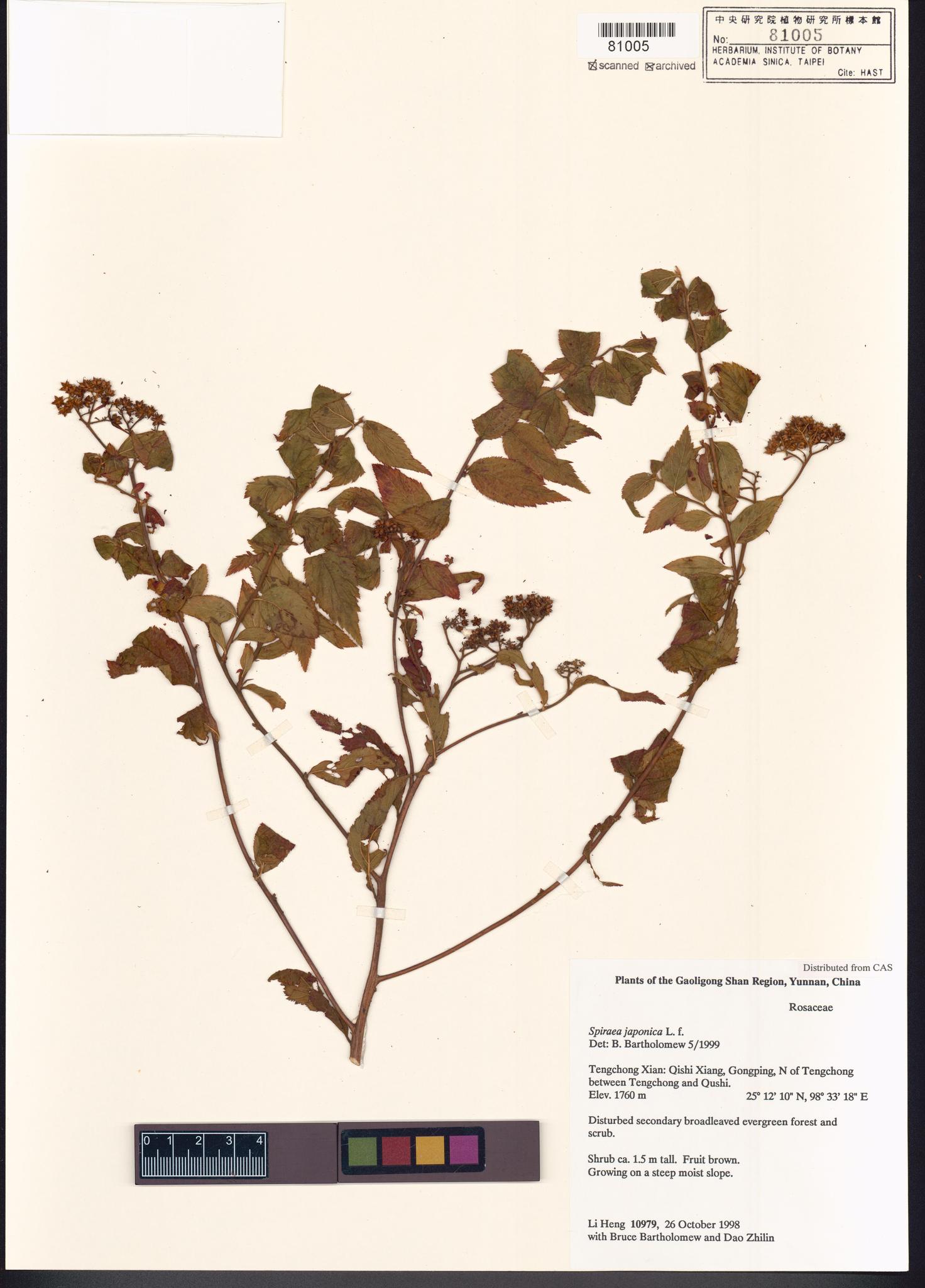 Sample image for viewer