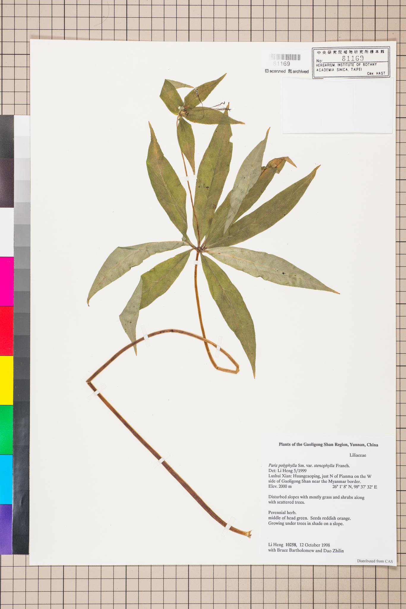 Sample image for viewer