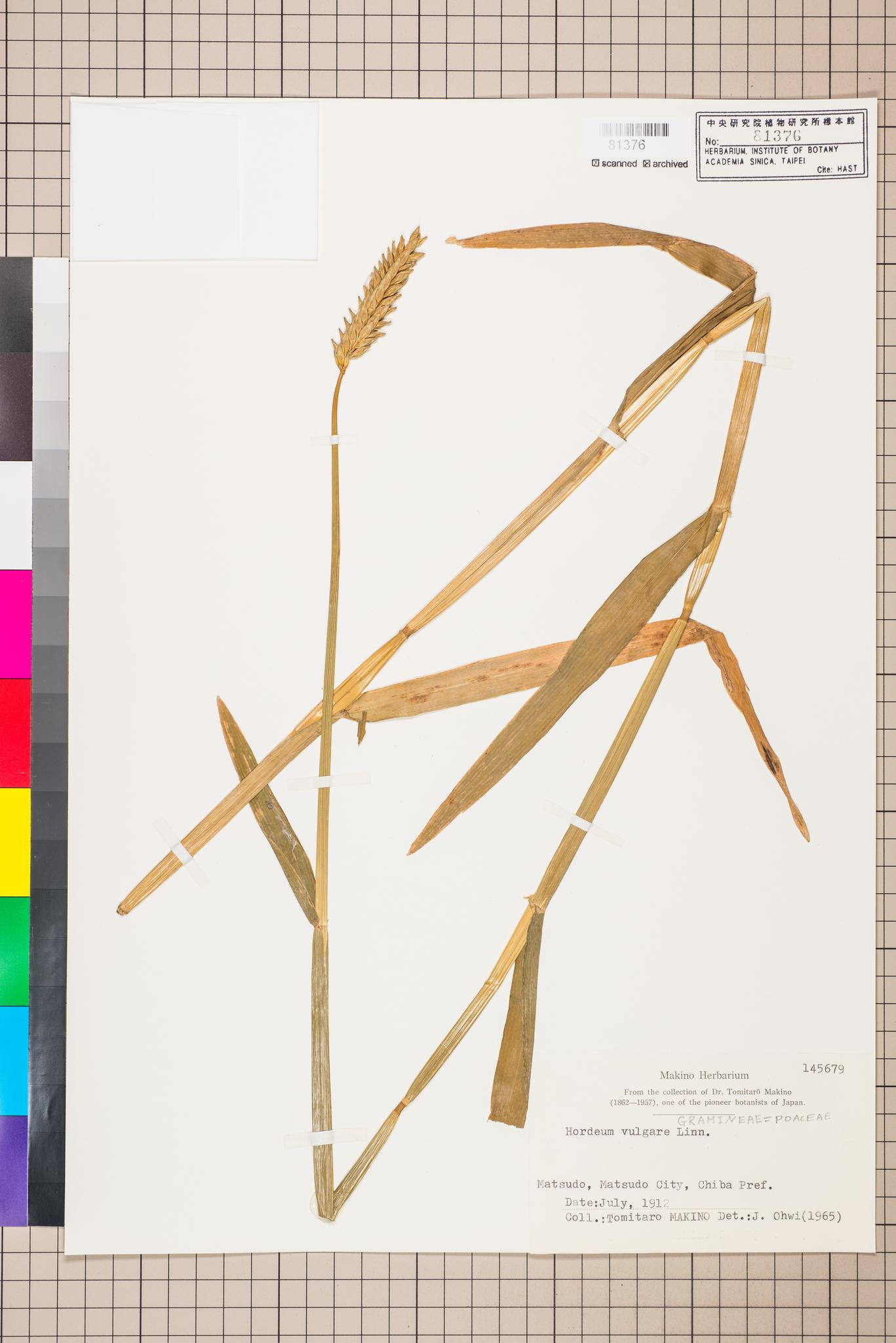 Sample image for viewer