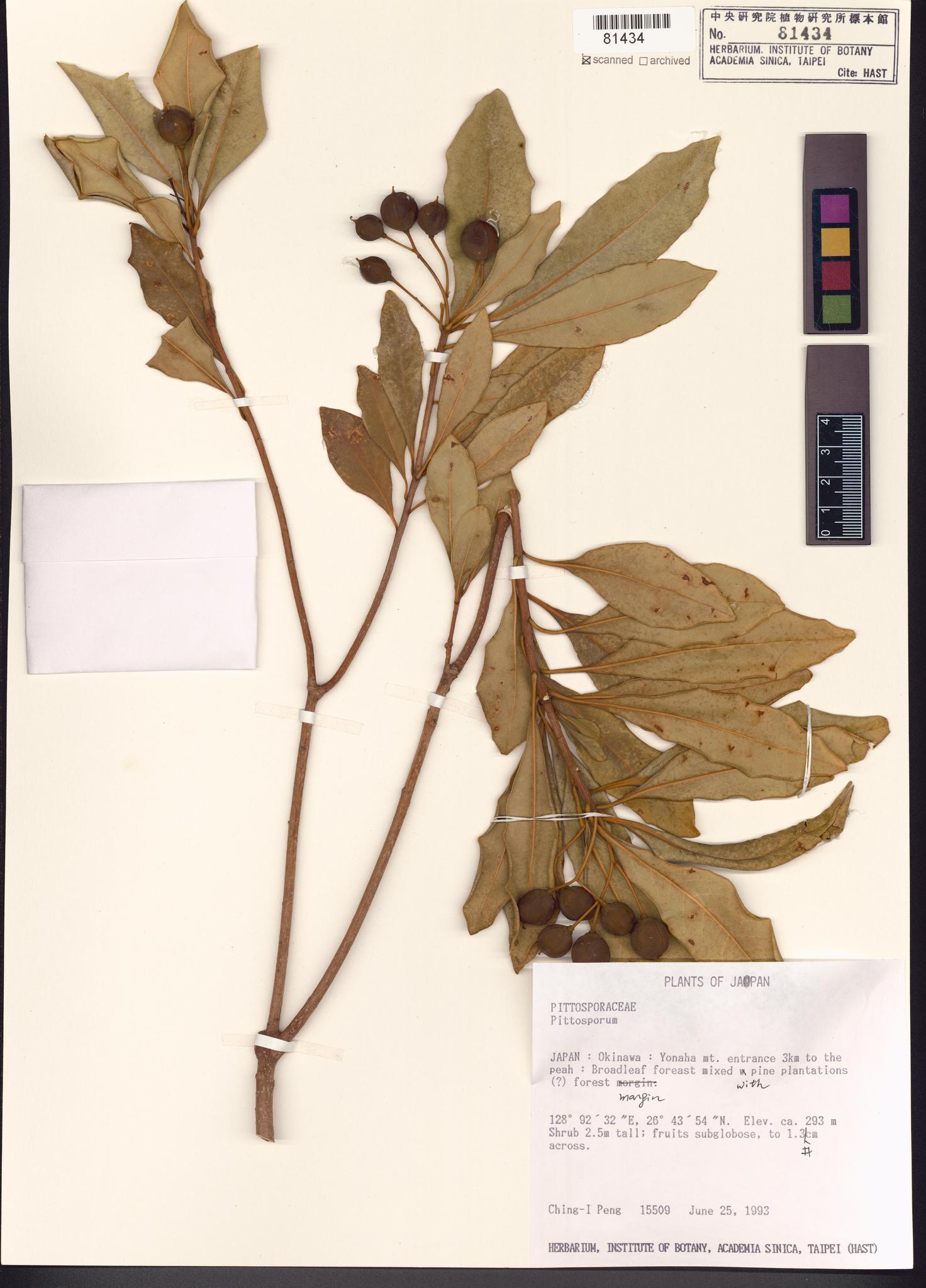 Sample image for viewer