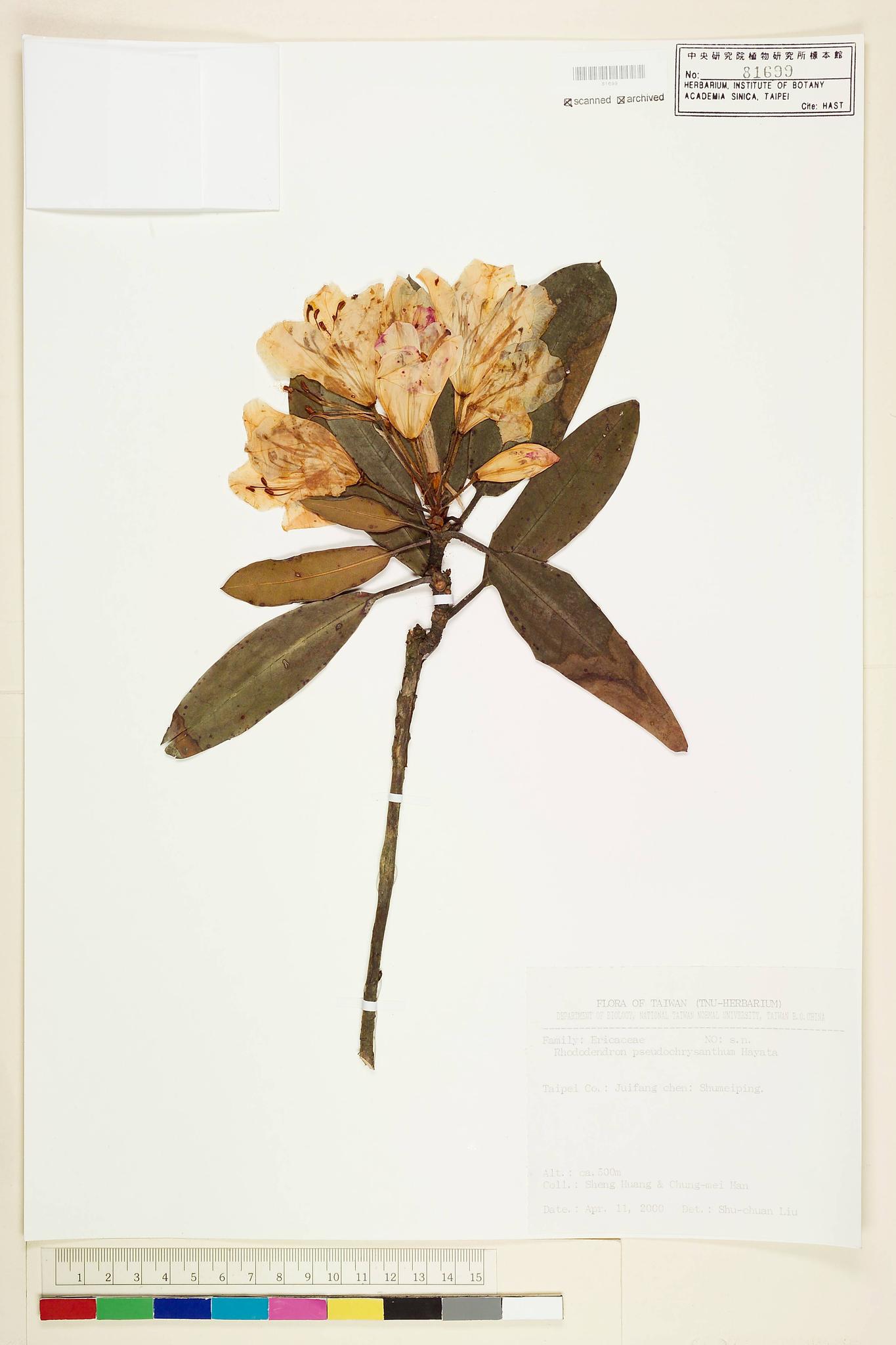 Sample image for viewer