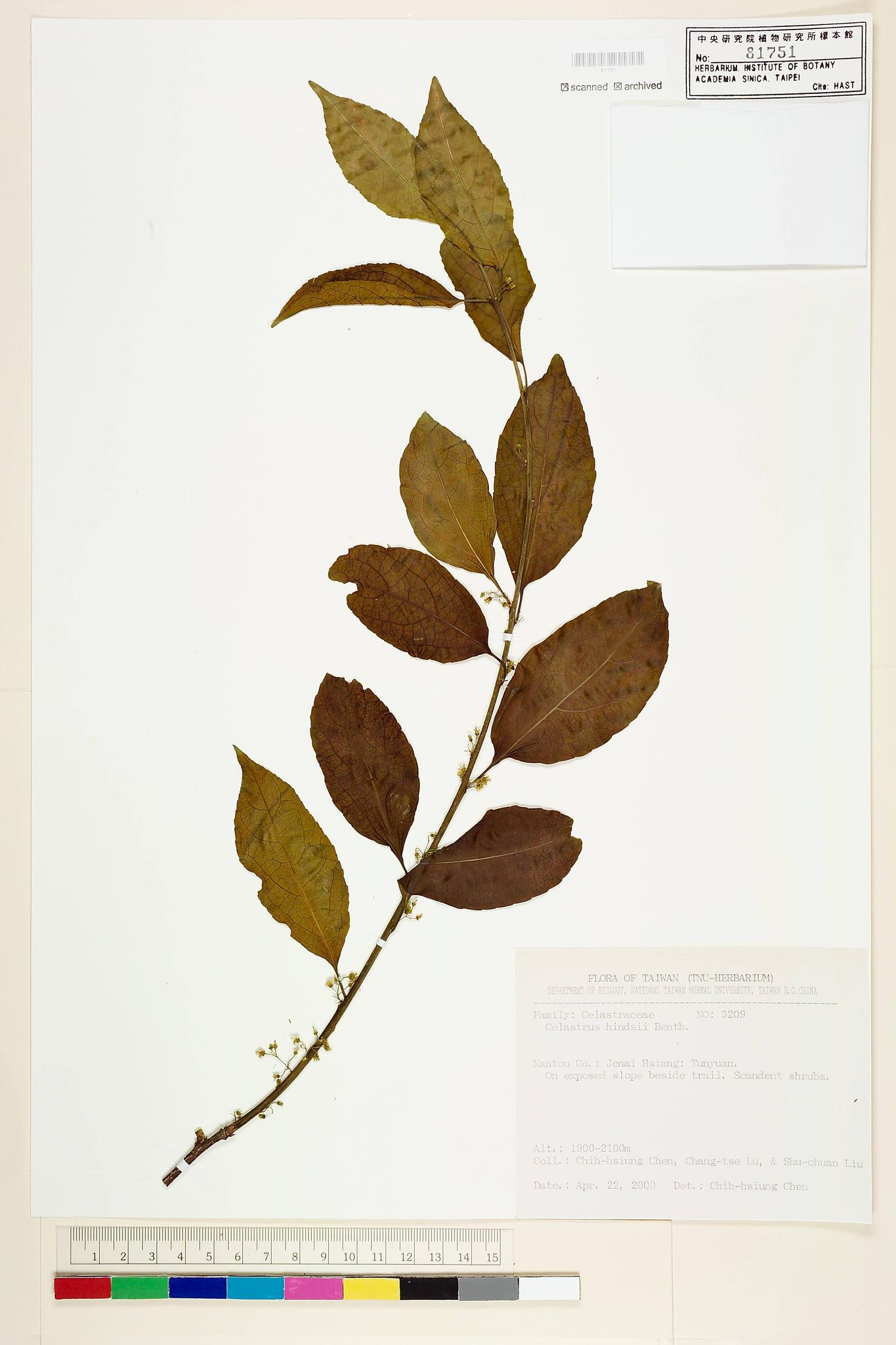 Sample image for viewer