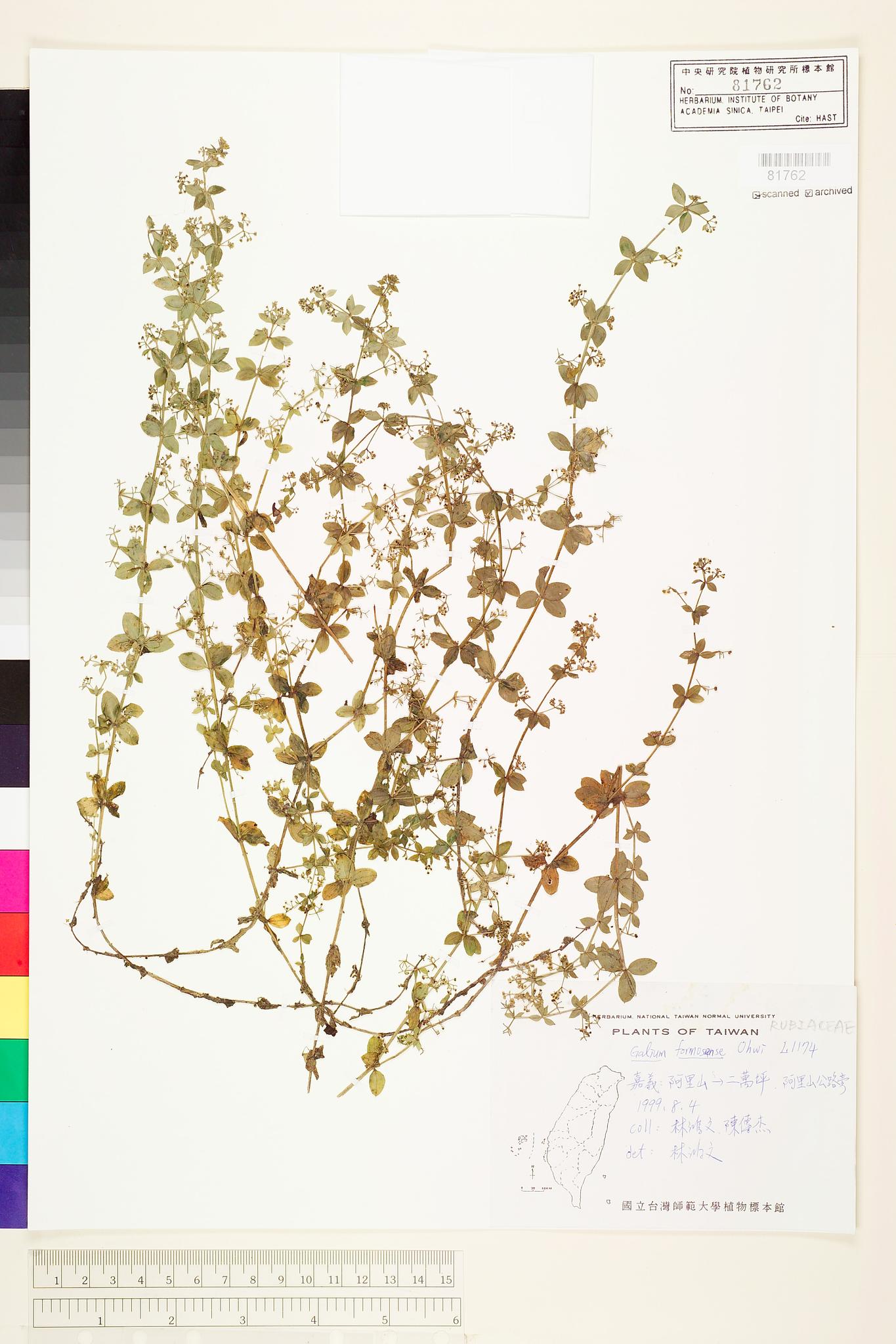 Sample image for viewer