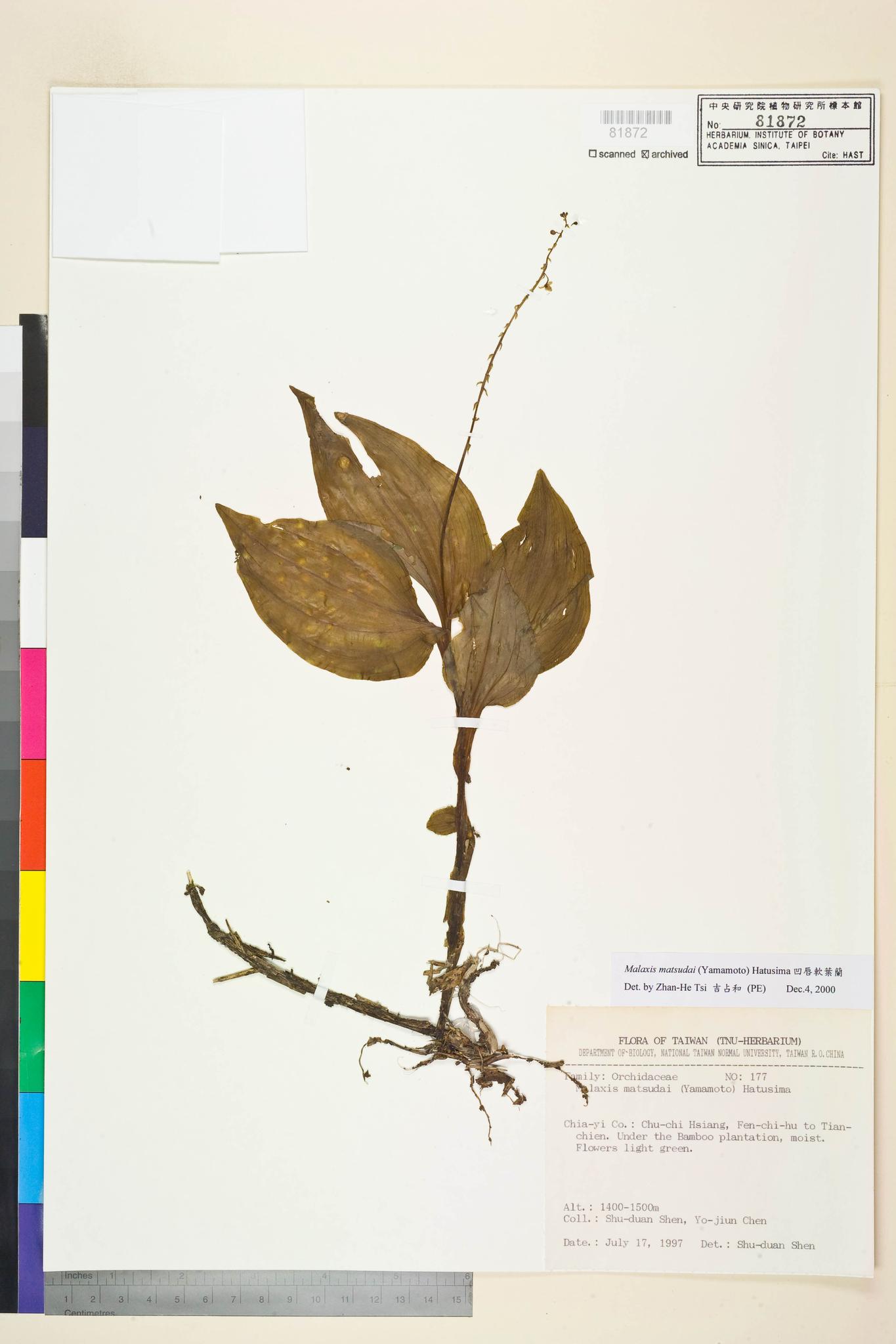 Sample image for viewer