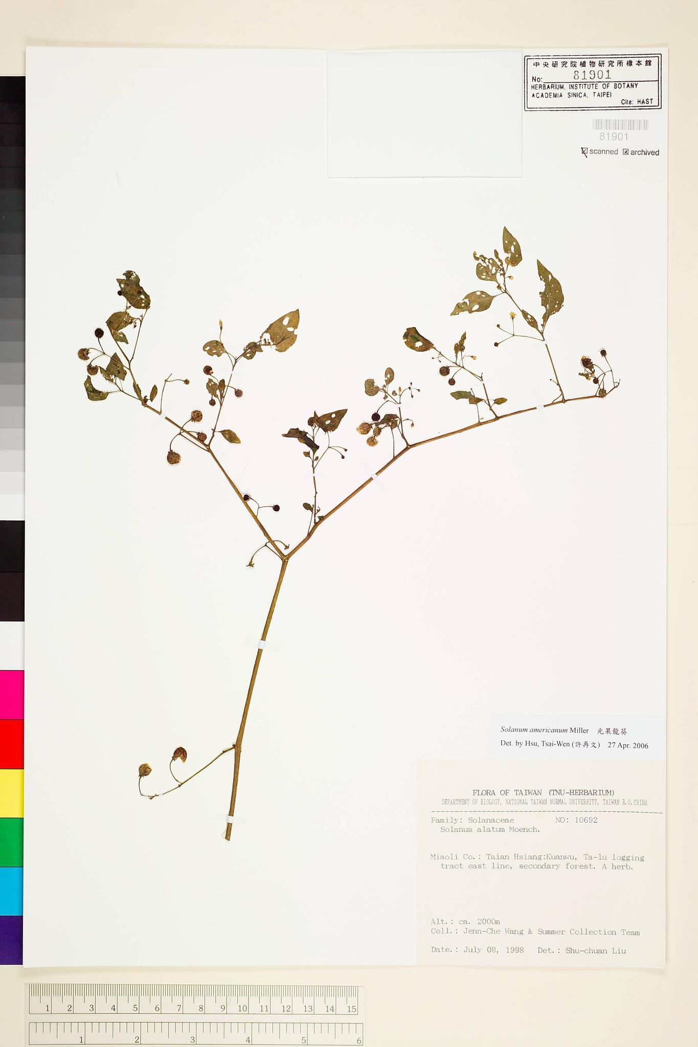 Sample image for viewer