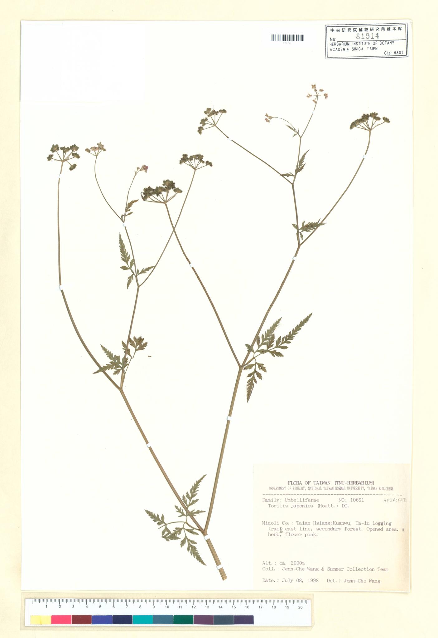 Sample image for viewer