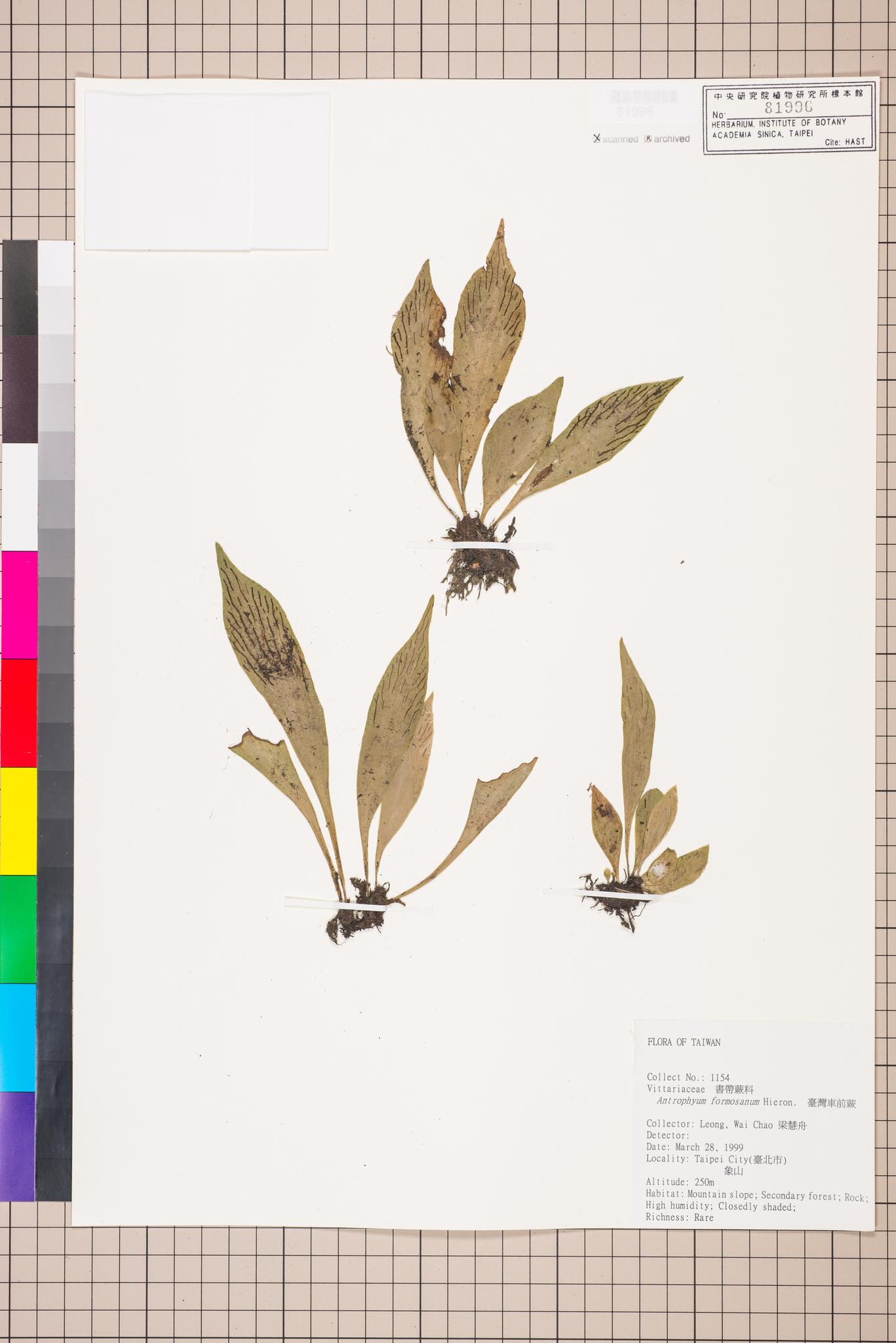 Sample image for viewer