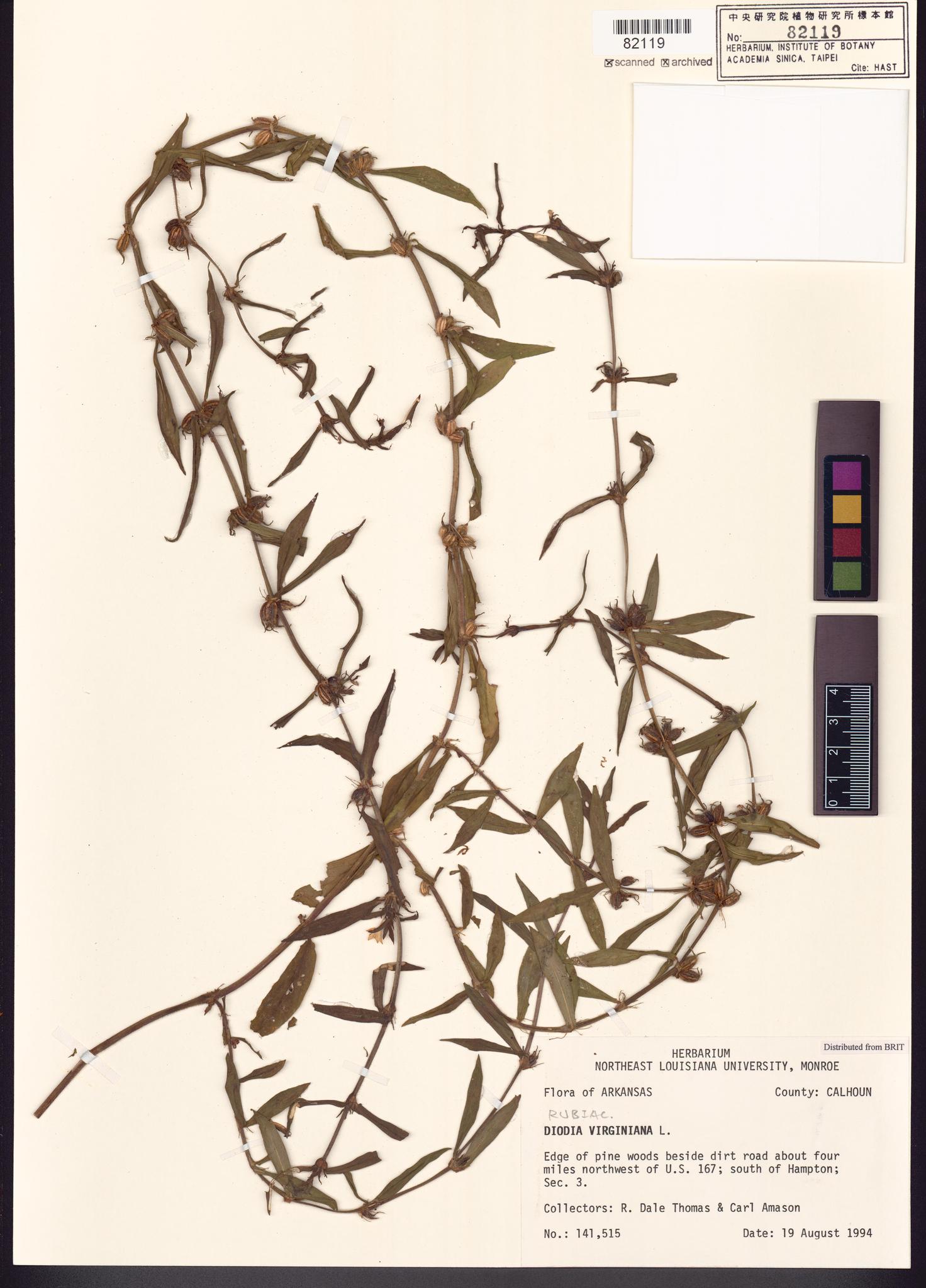 Sample image for viewer