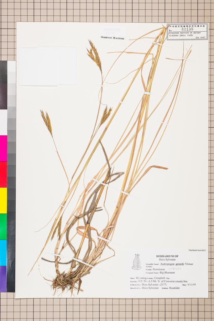 <Unit #115259  | 2377:: | Andropogon>