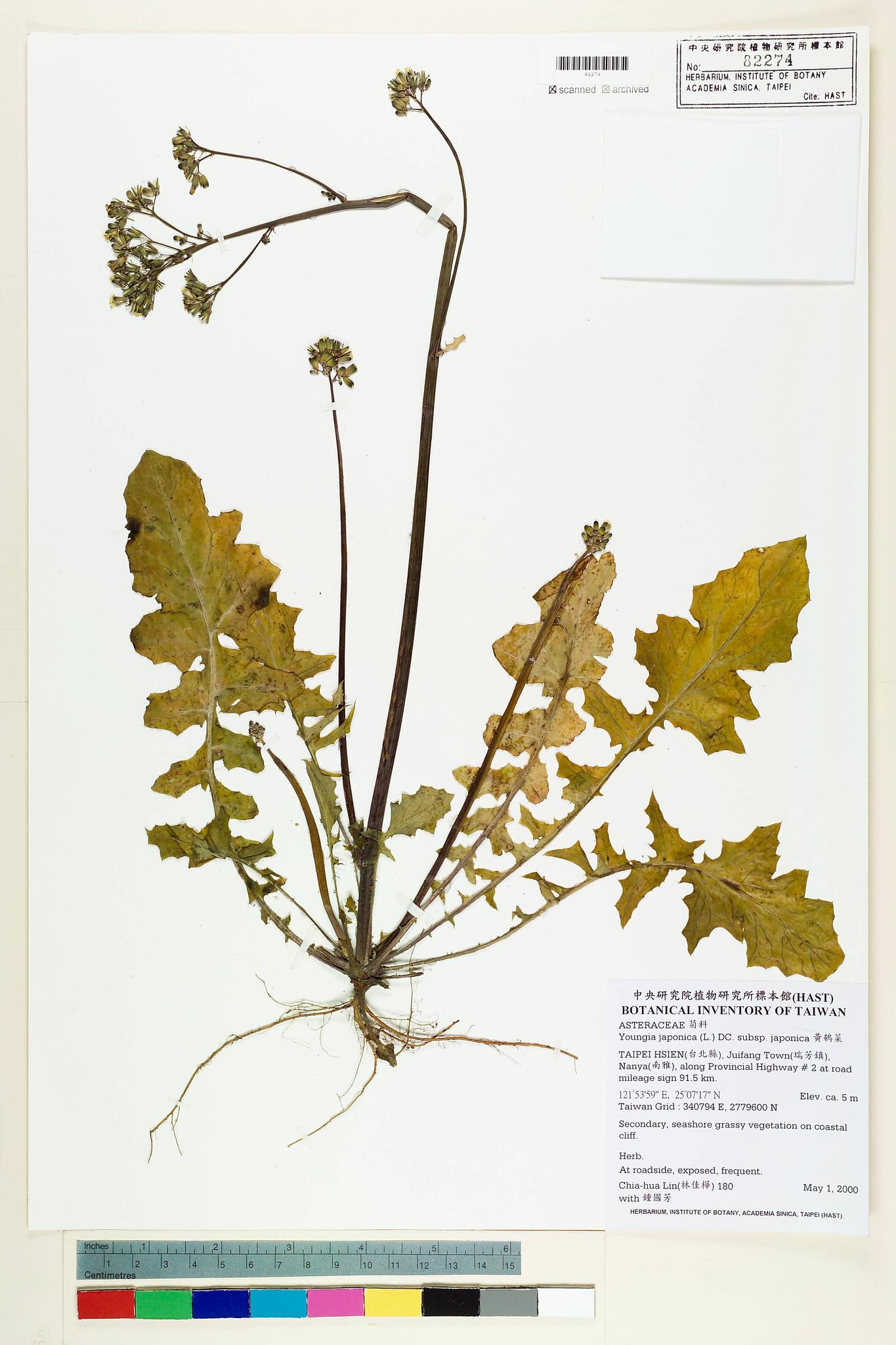 Sample image for viewer