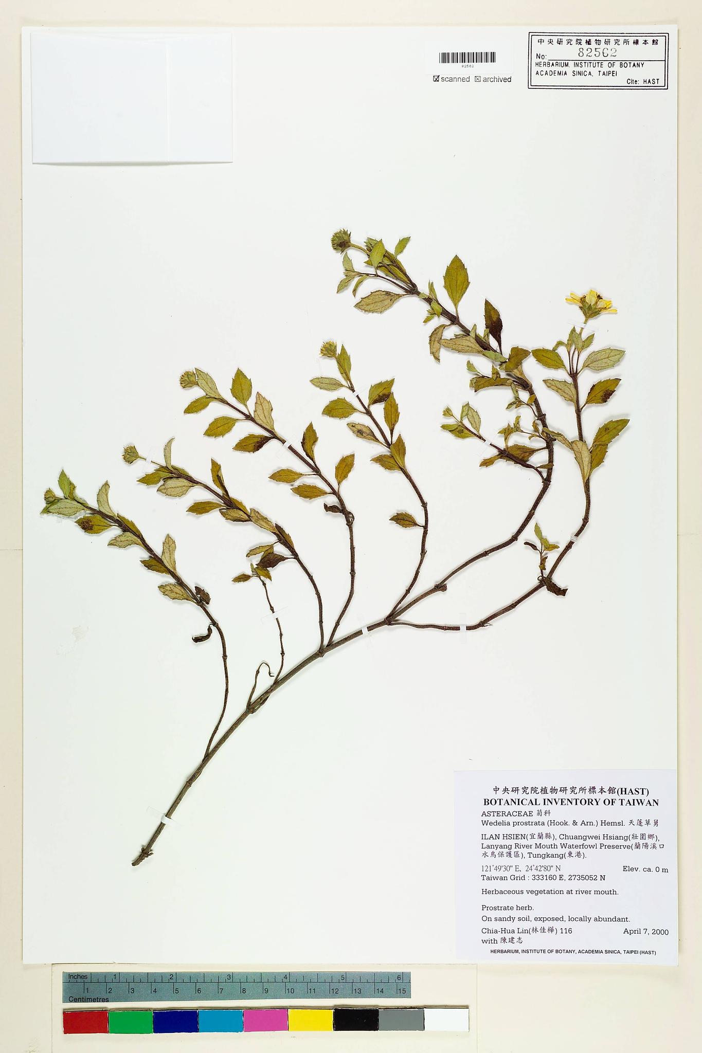 Specimen image